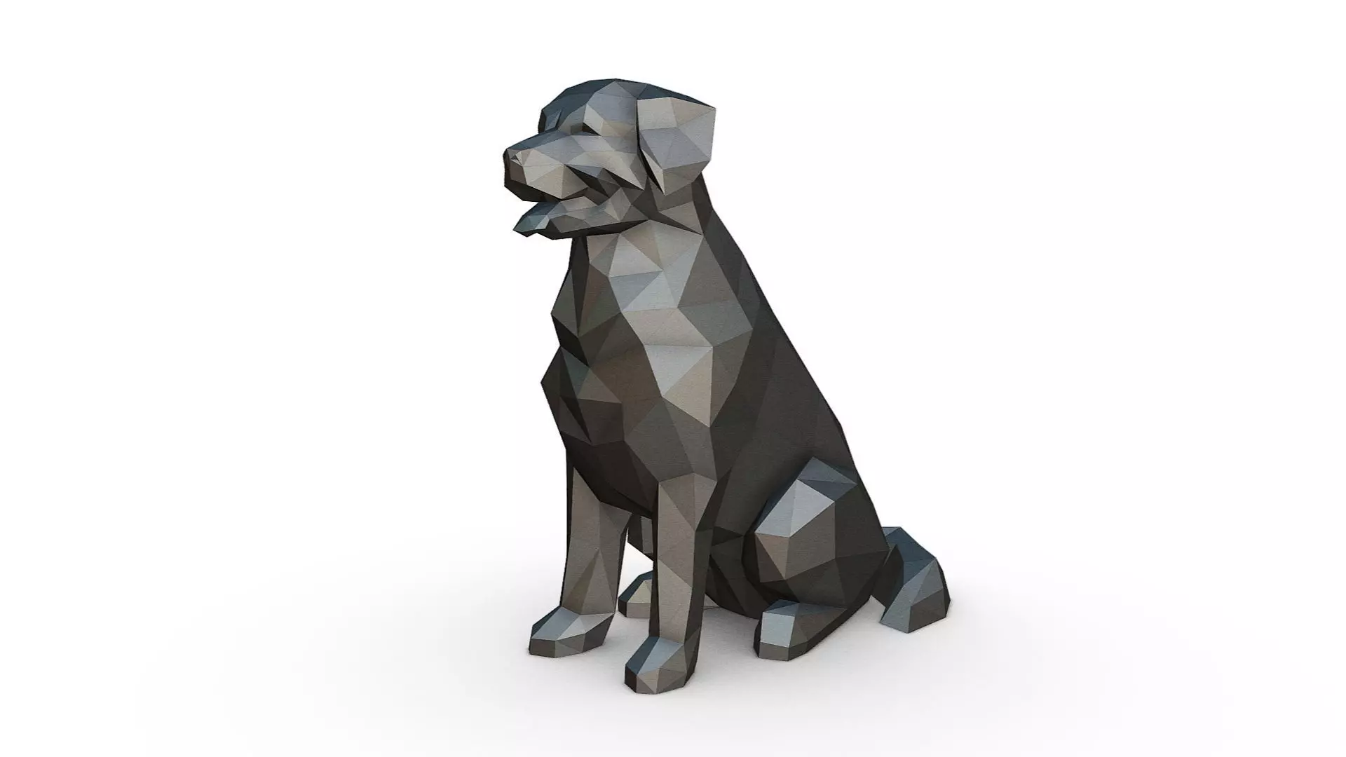 Bovaro del bernese low poly 3D print model_0