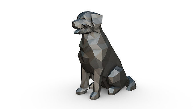 Bovaro del bernese low poly 3D print model