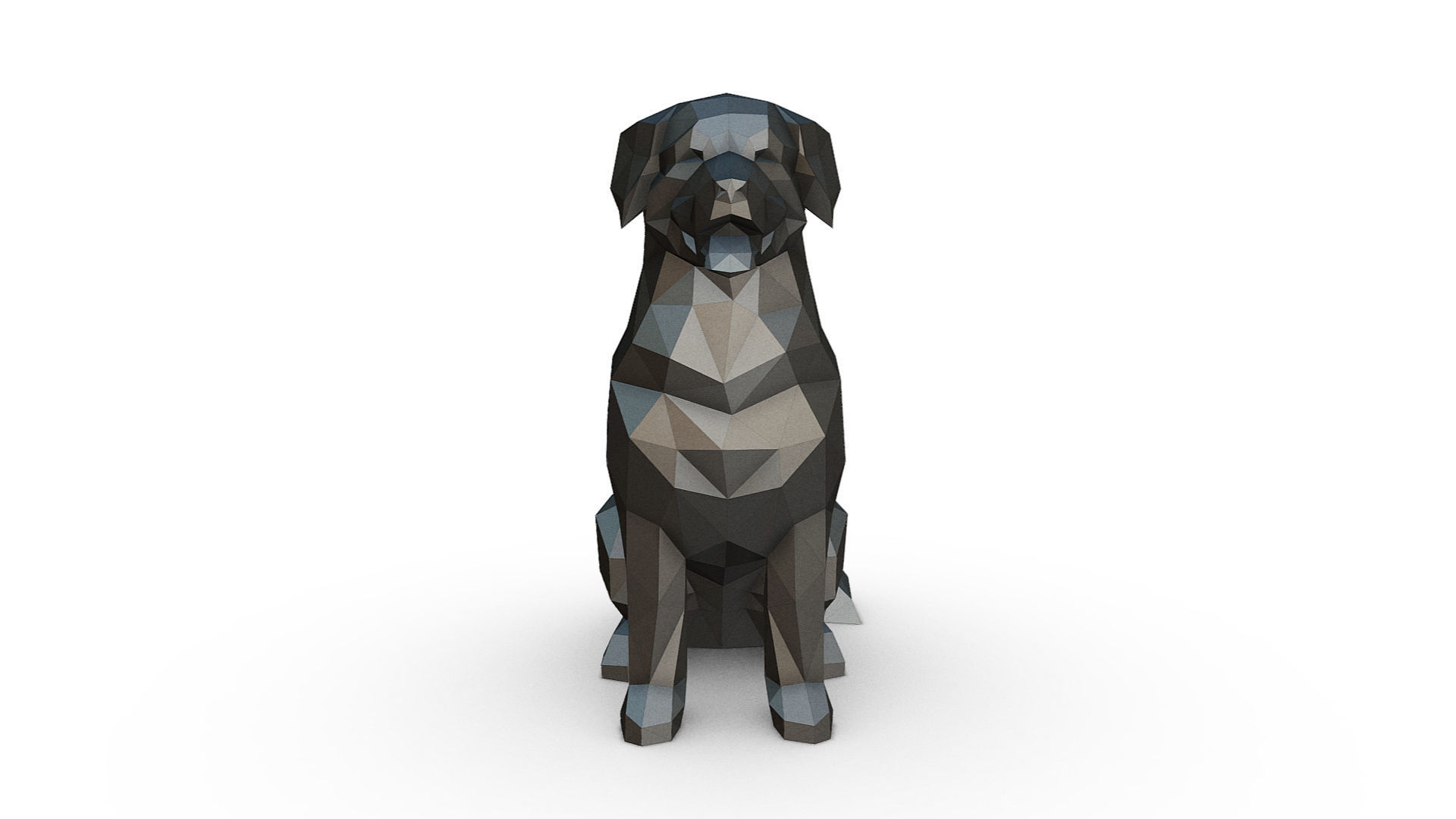 Bovaro del bernese low poly 3D print model_6