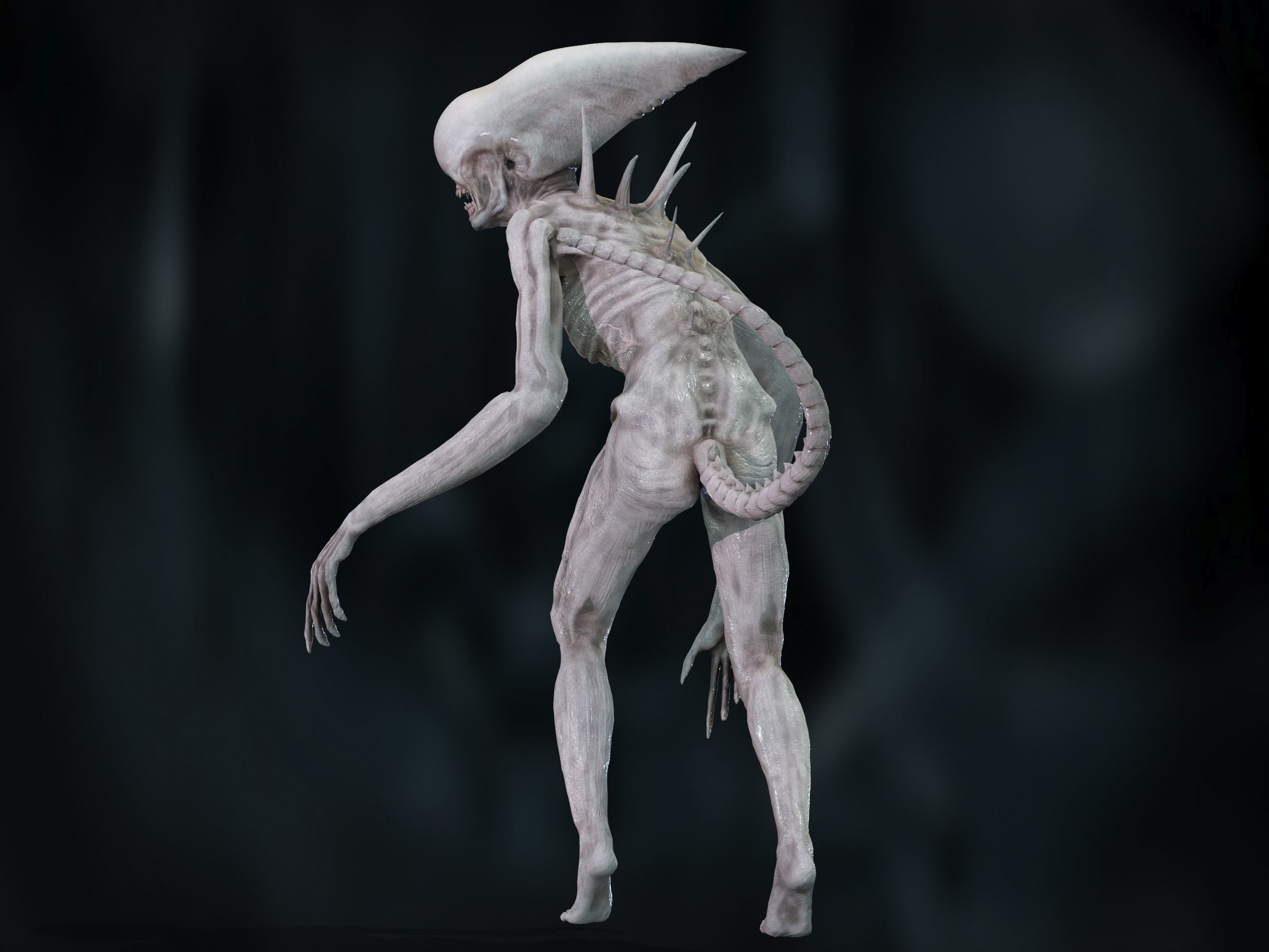 Neomorph Low-poly 3D model_7