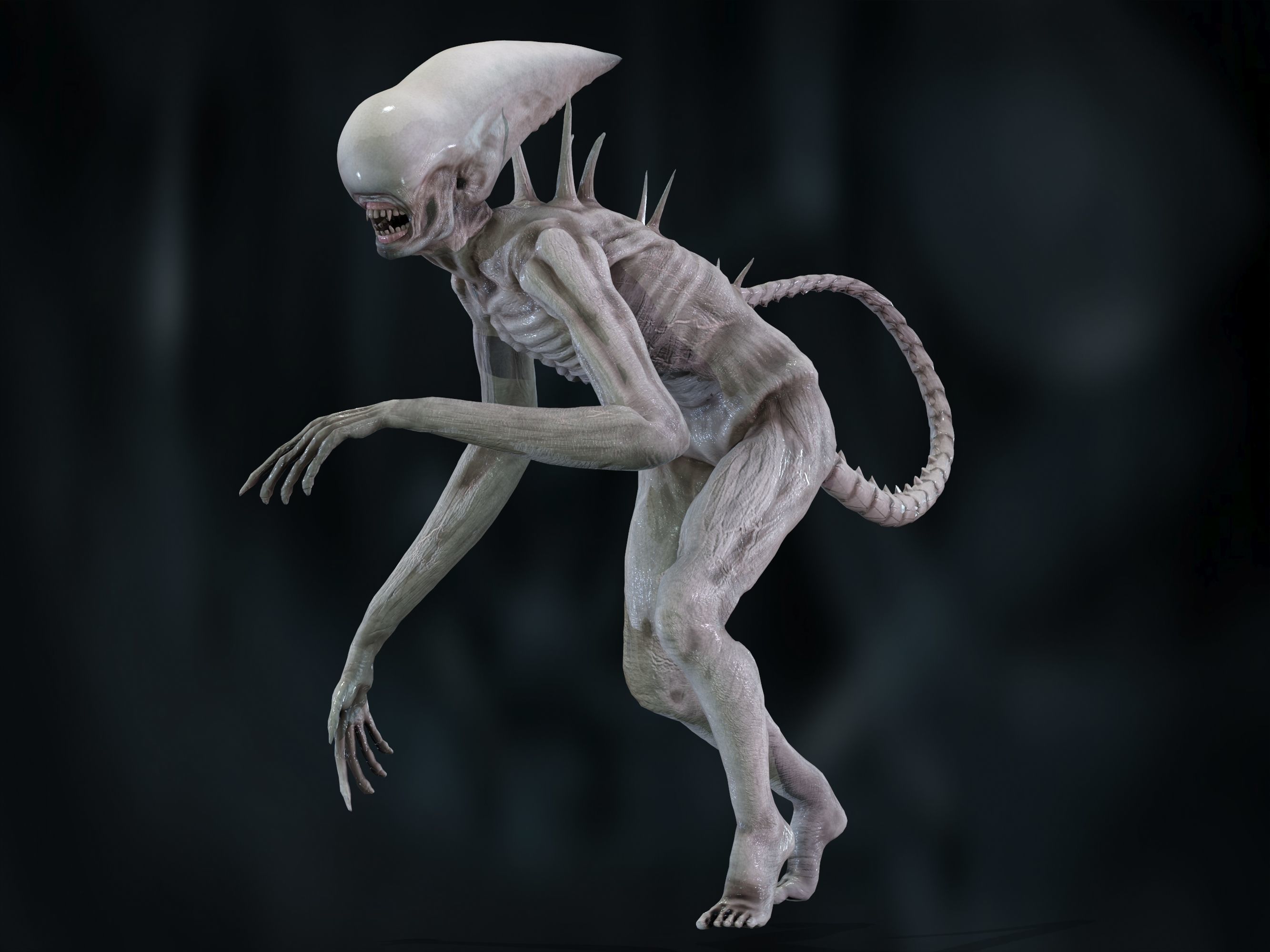 Neomorph Low-poly 3D model_13