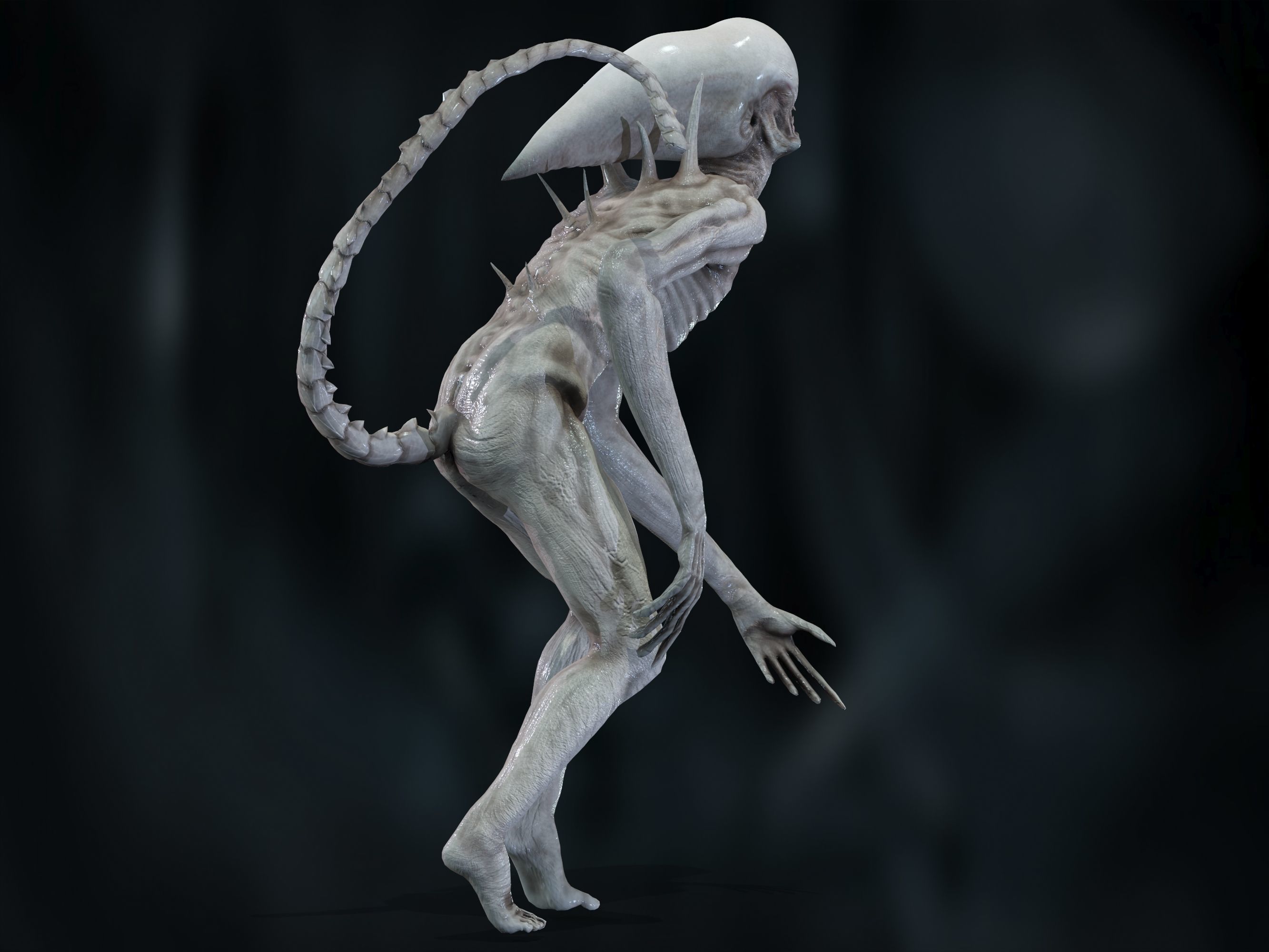Neomorph Low-poly 3D model_21
