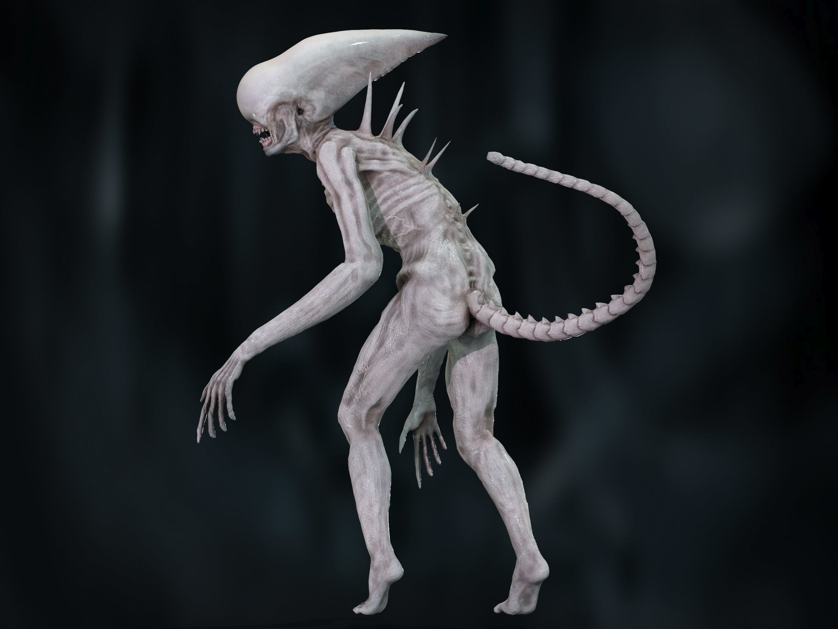 Neomorph Low-poly 3D model_5