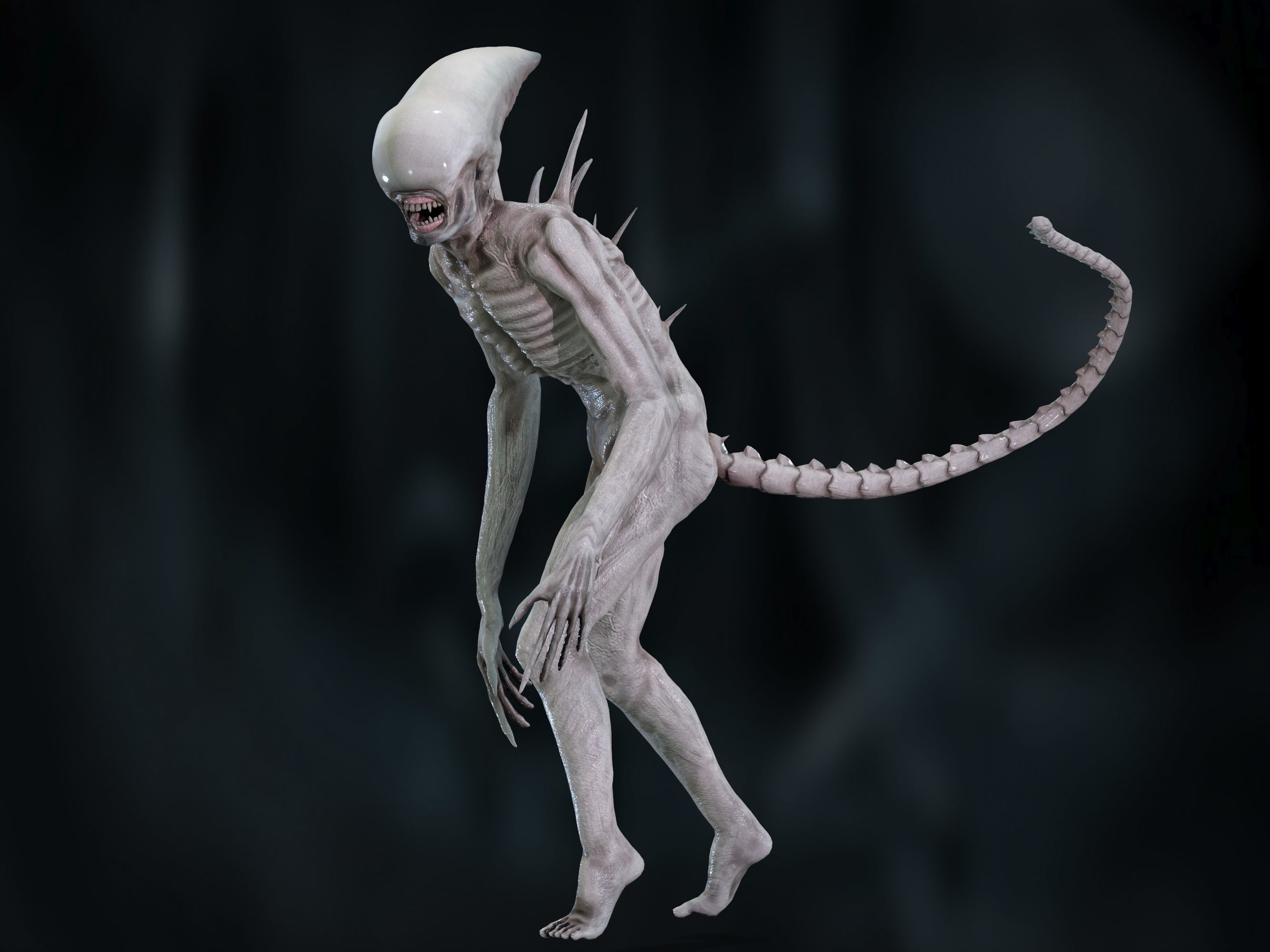 Neomorph Low-poly 3D model_3