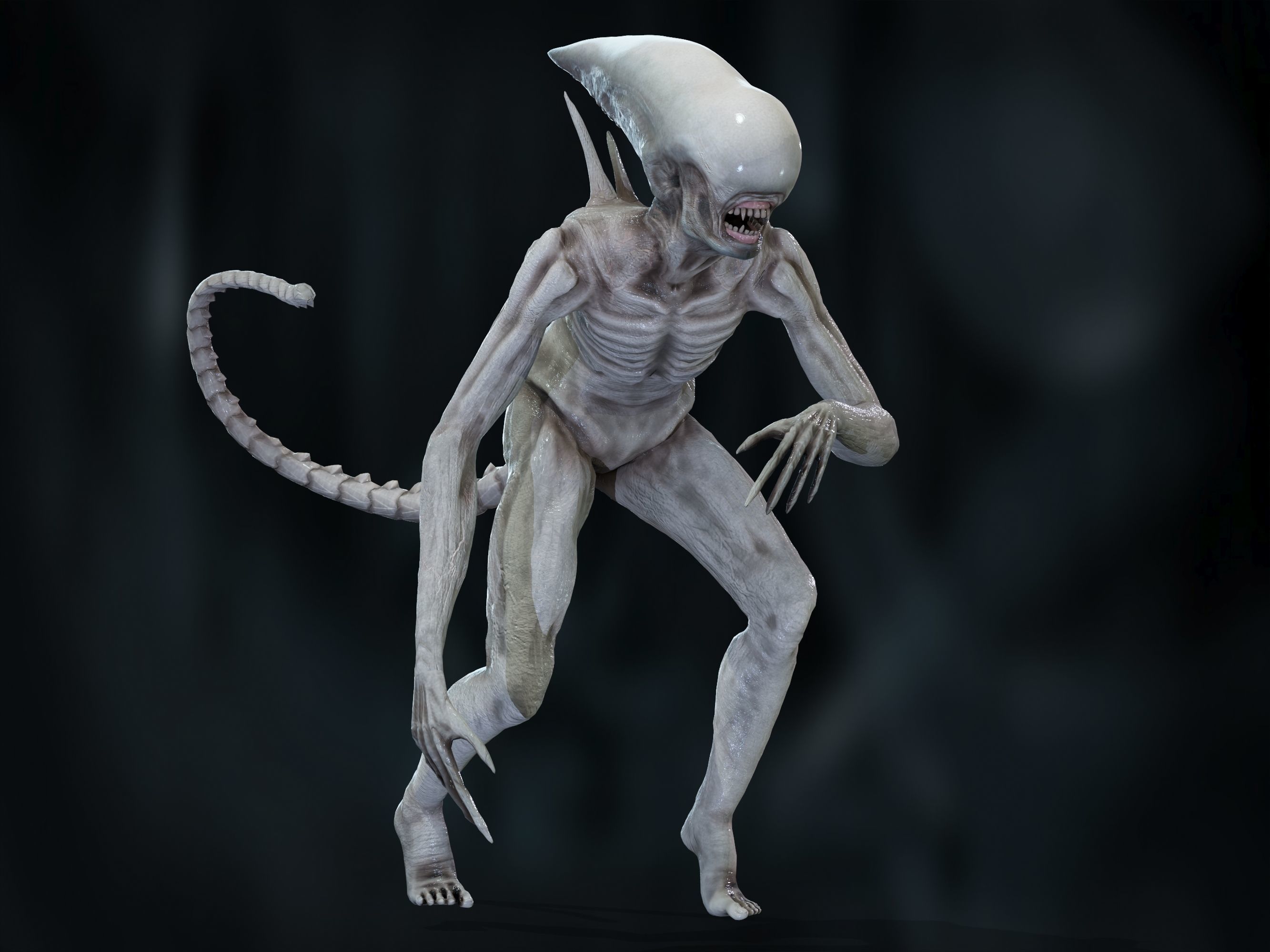 Neomorph Low-poly 3D model_4