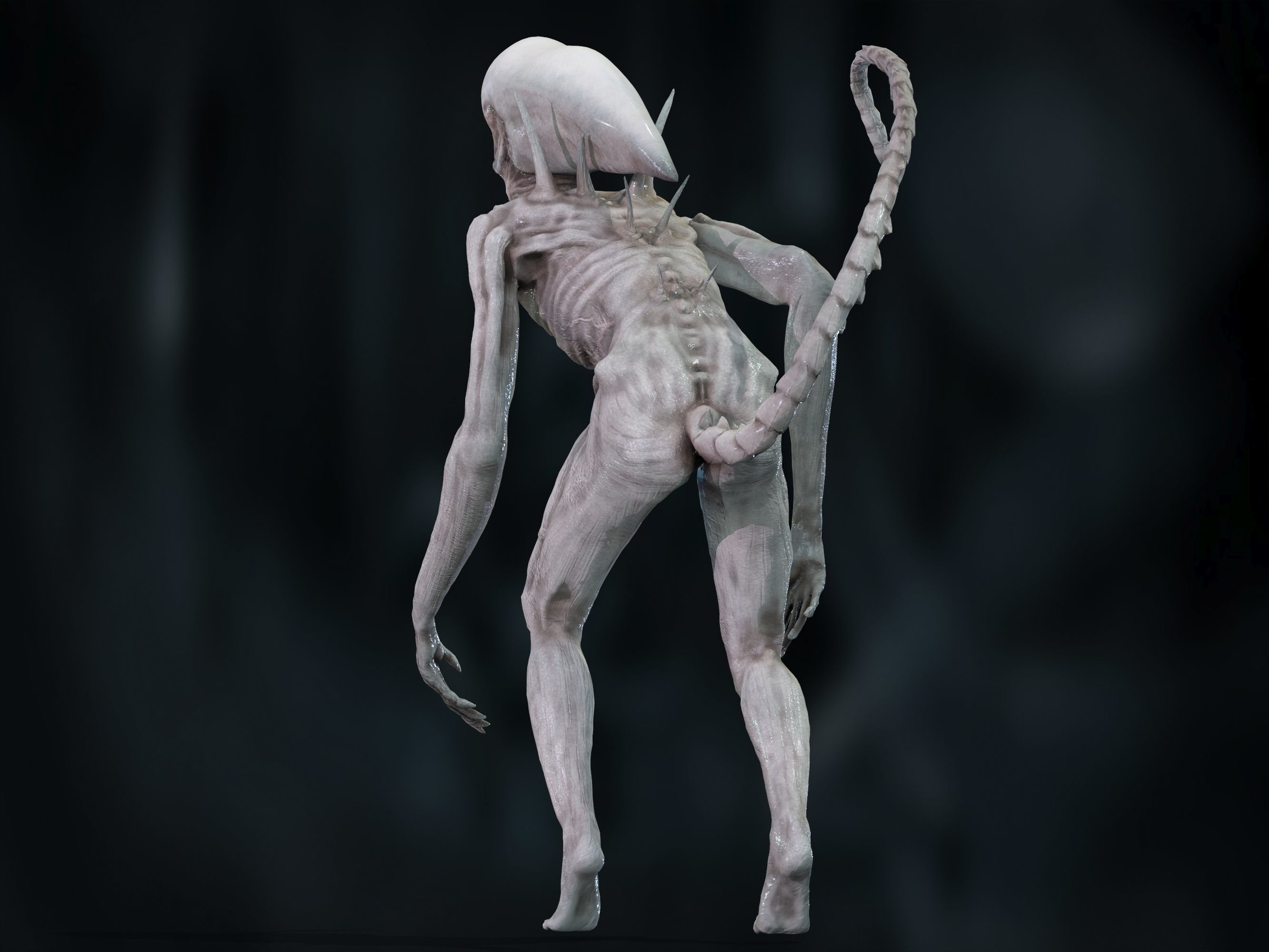 Neomorph Low-poly 3D model_20