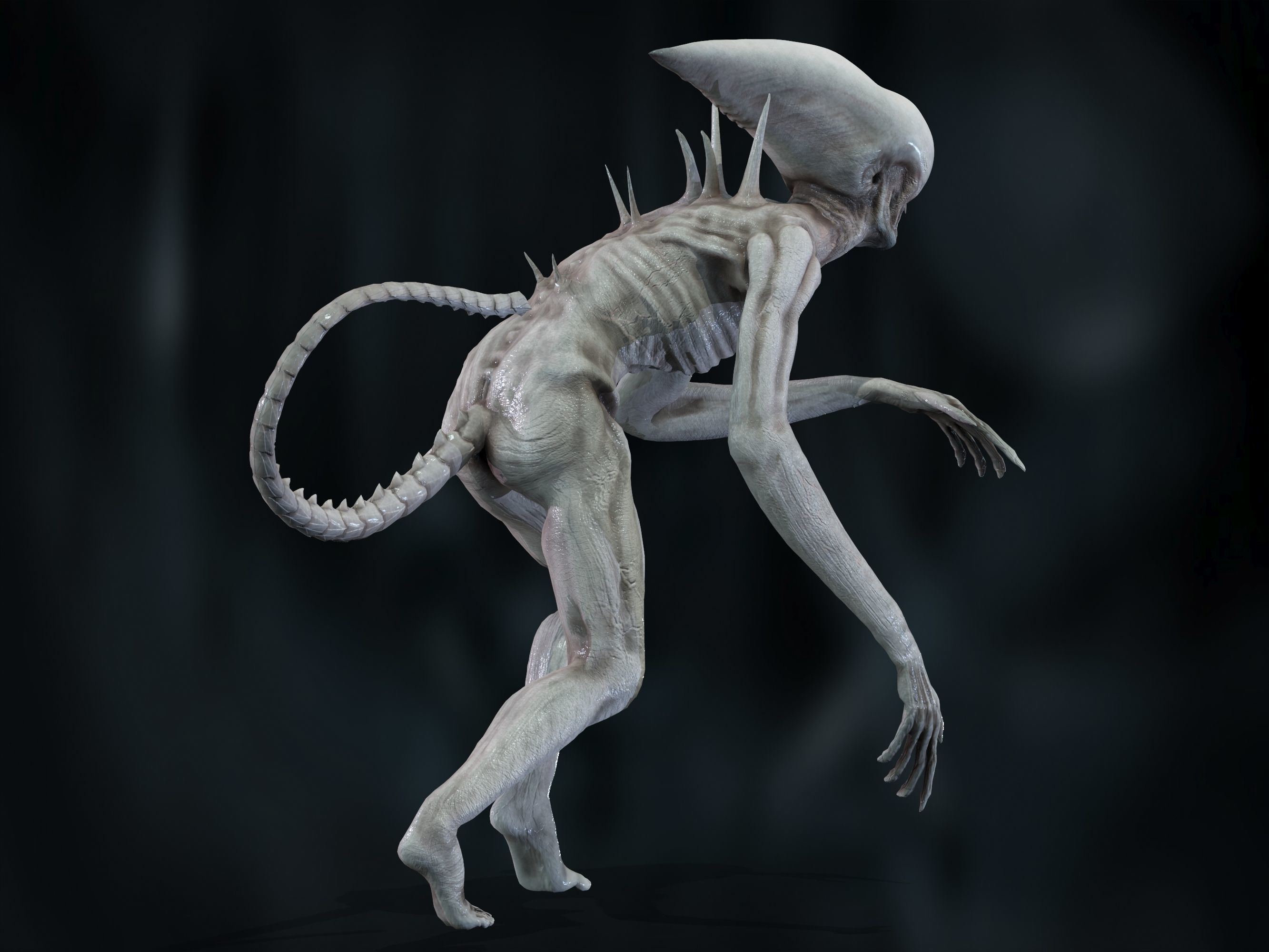 Neomorph Low-poly 3D model_25