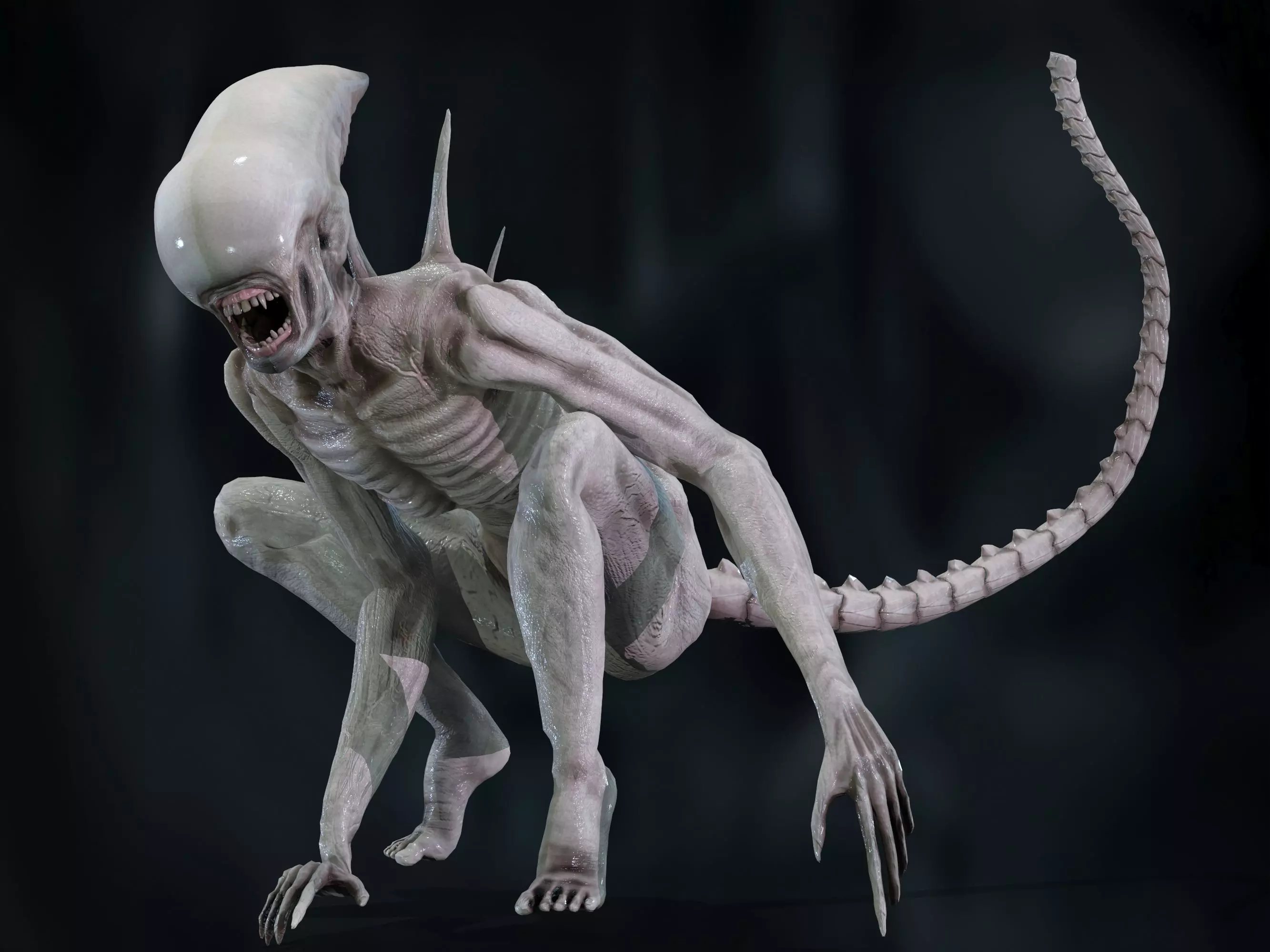 Neomorph Low-poly 3D model_0