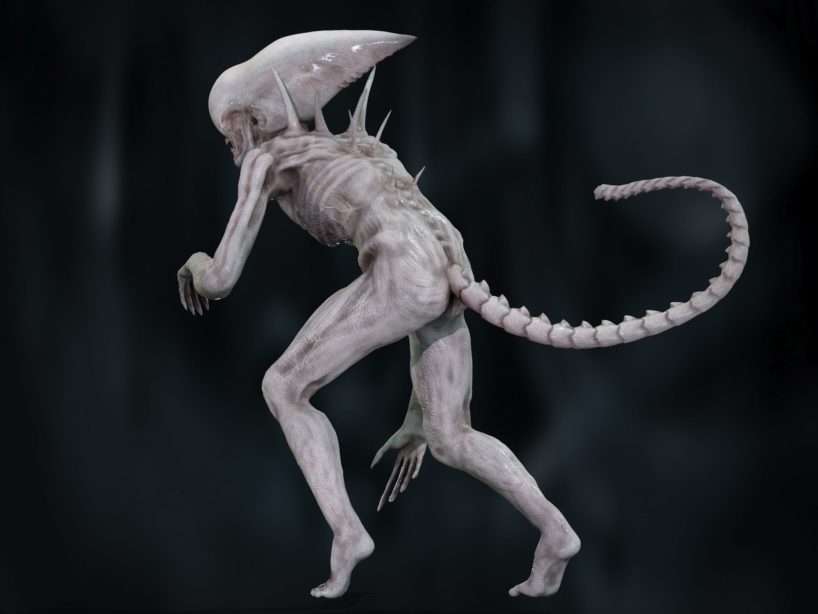 Neomorph Low-poly 3D model_23