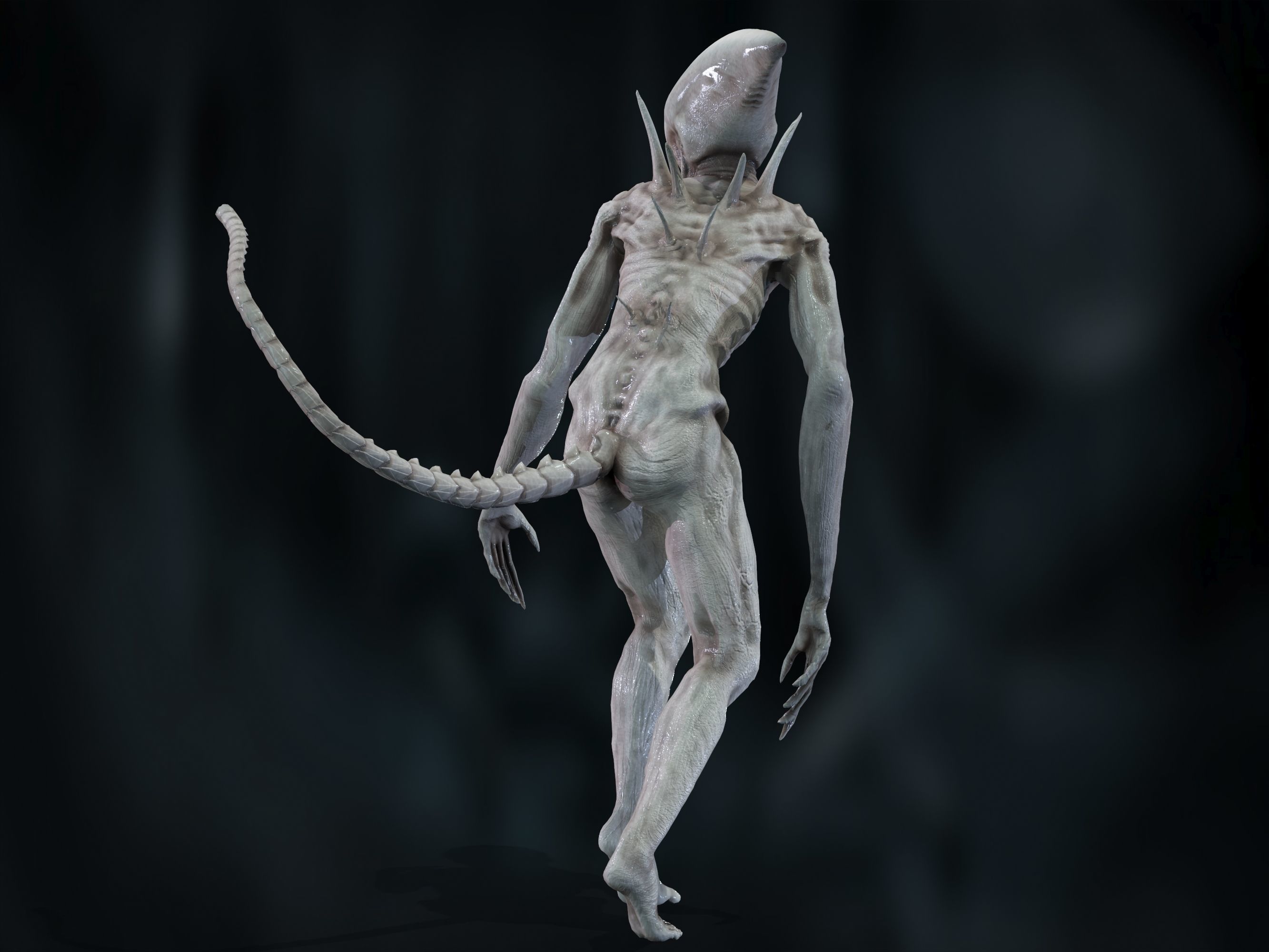Neomorph Low-poly 3D model_12