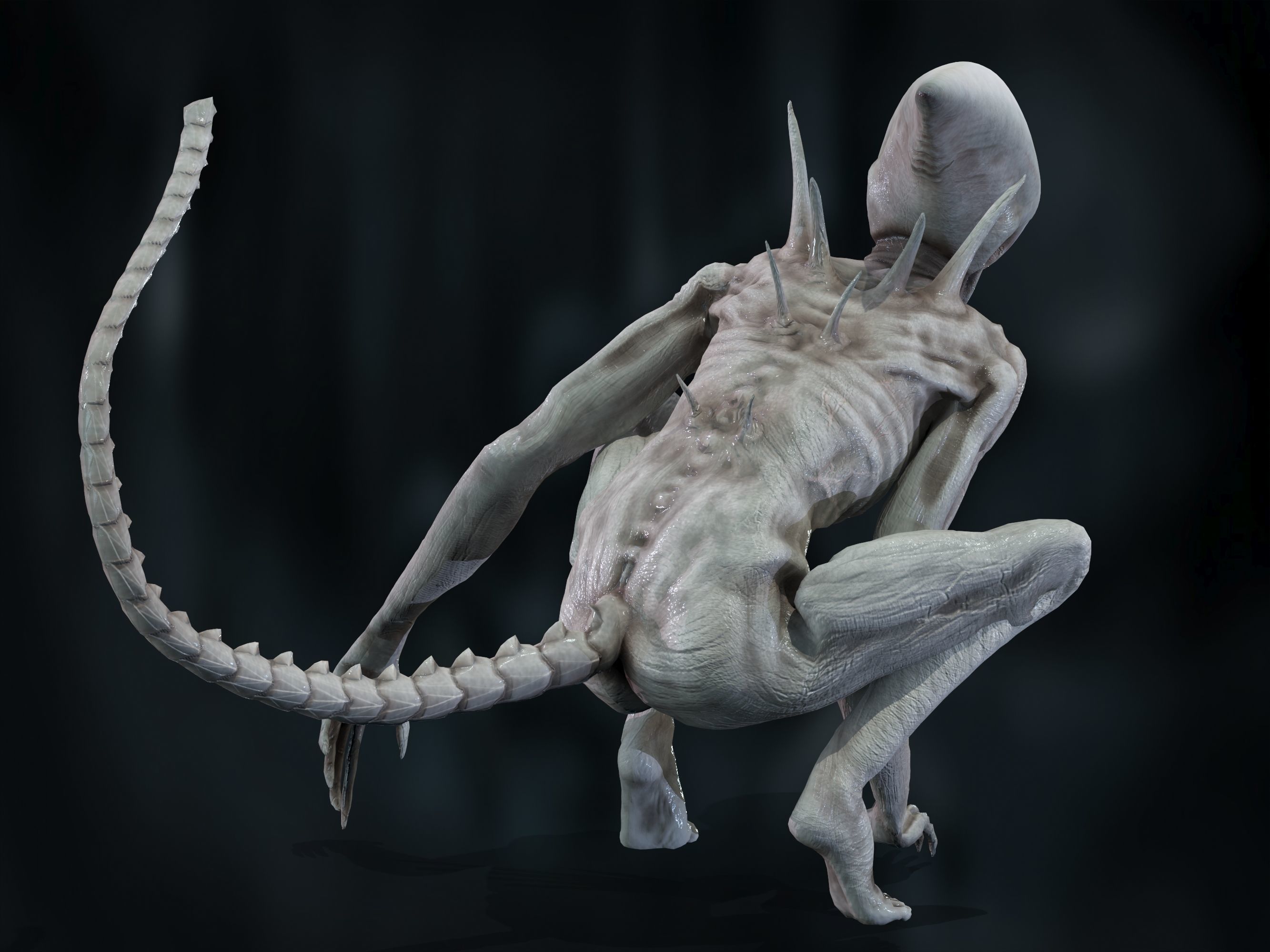 Neomorph Low-poly 3D model_16