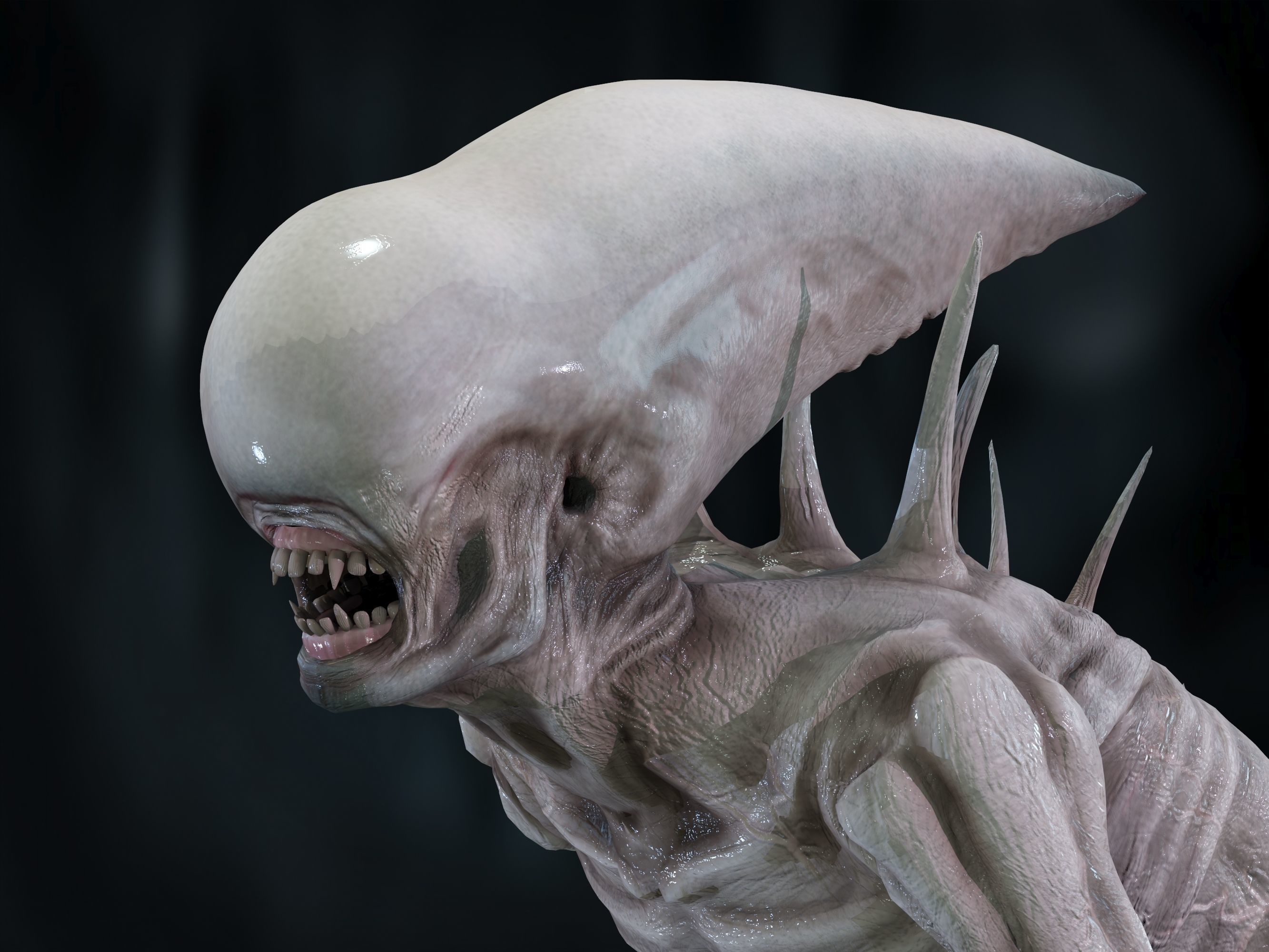 Neomorph Low-poly 3D model_10