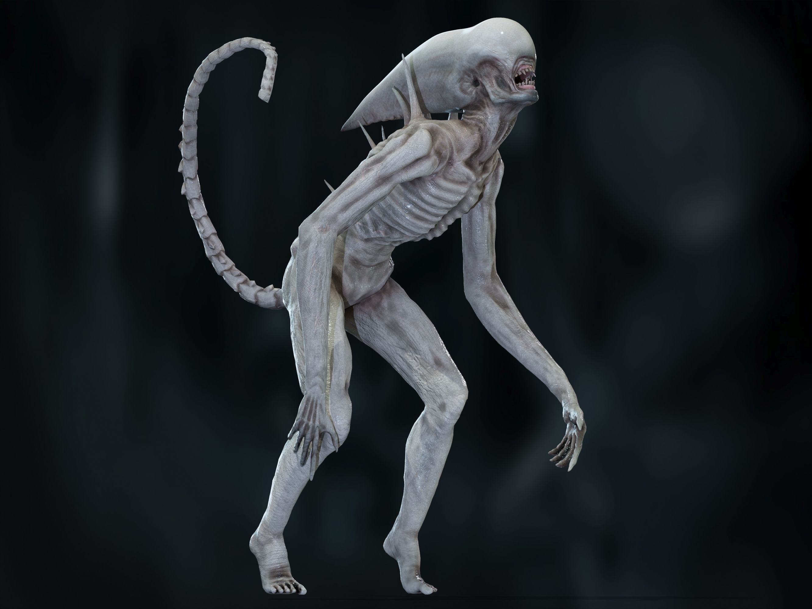 Neomorph Low-poly 3D model_6