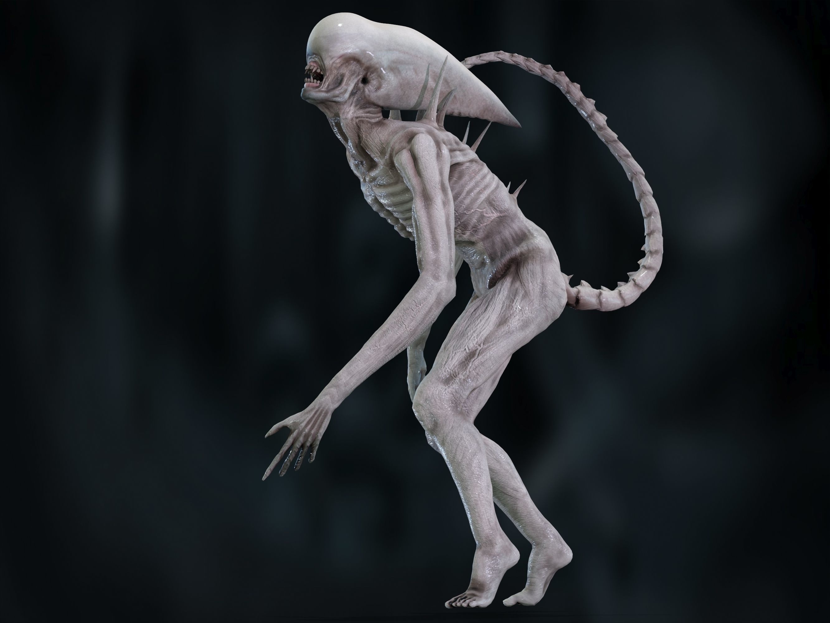 Neomorph Low-poly 3D model_19