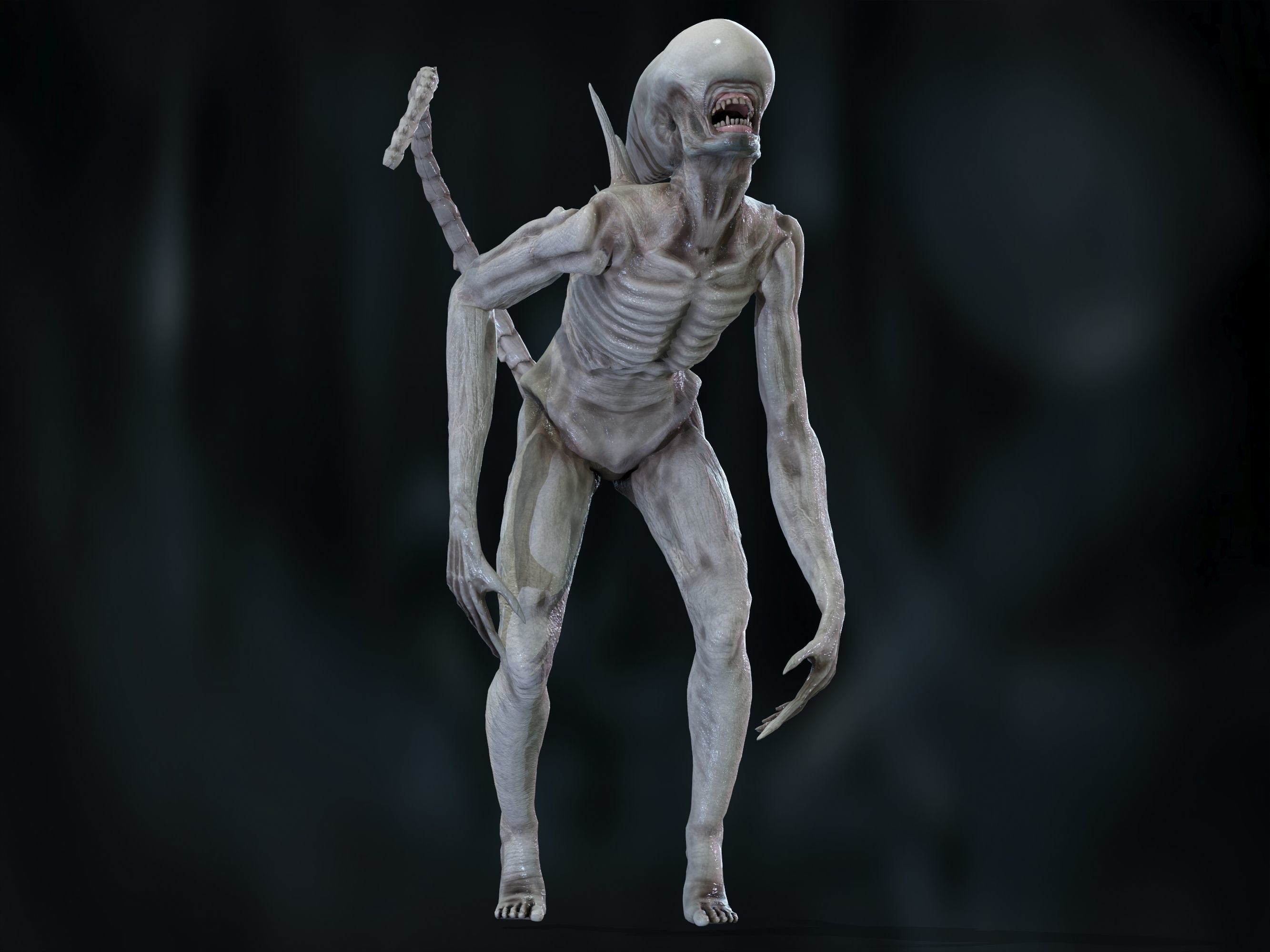 Neomorph Low-poly 3D model_18