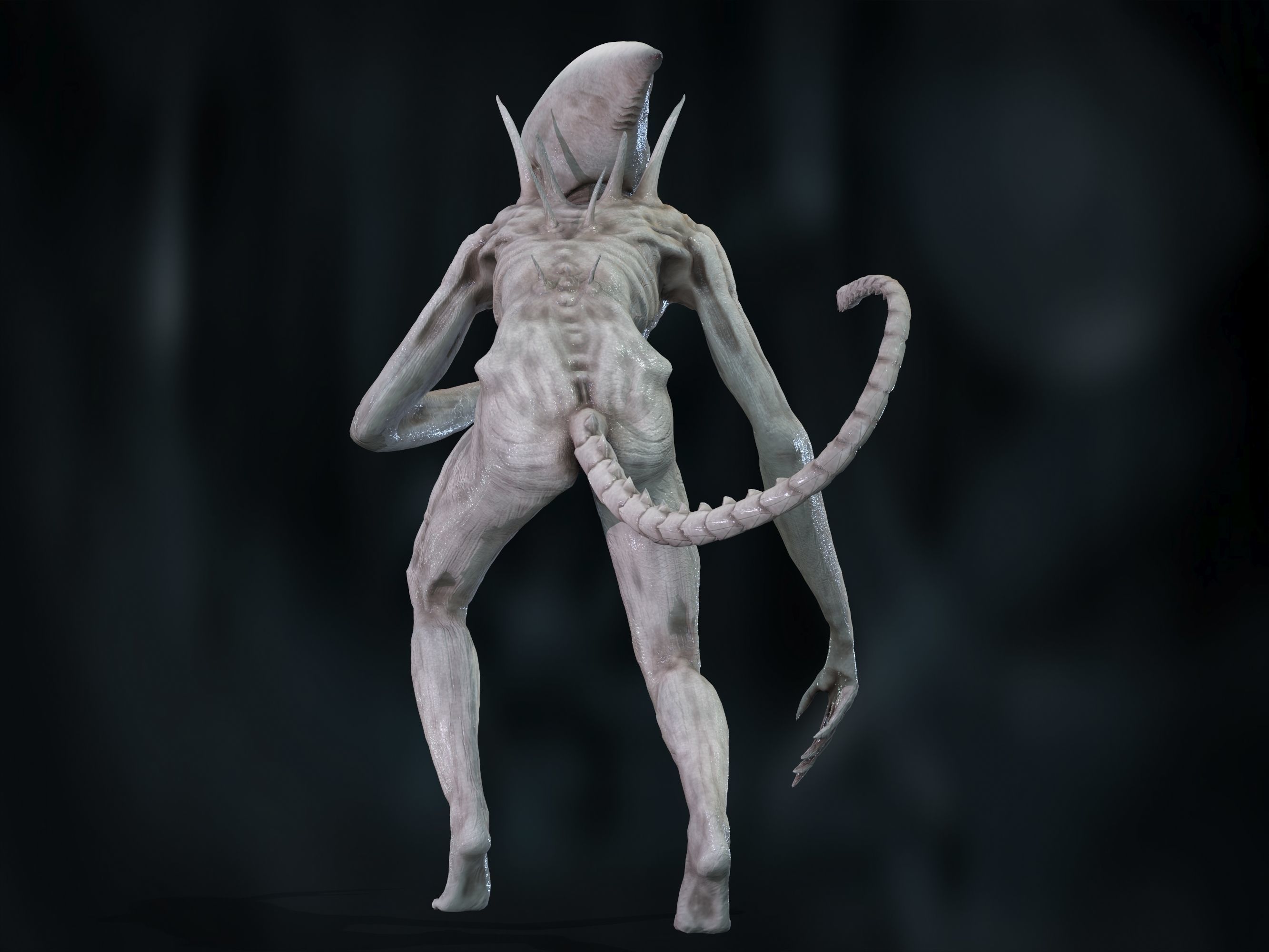 Neomorph Low-poly 3D model_24