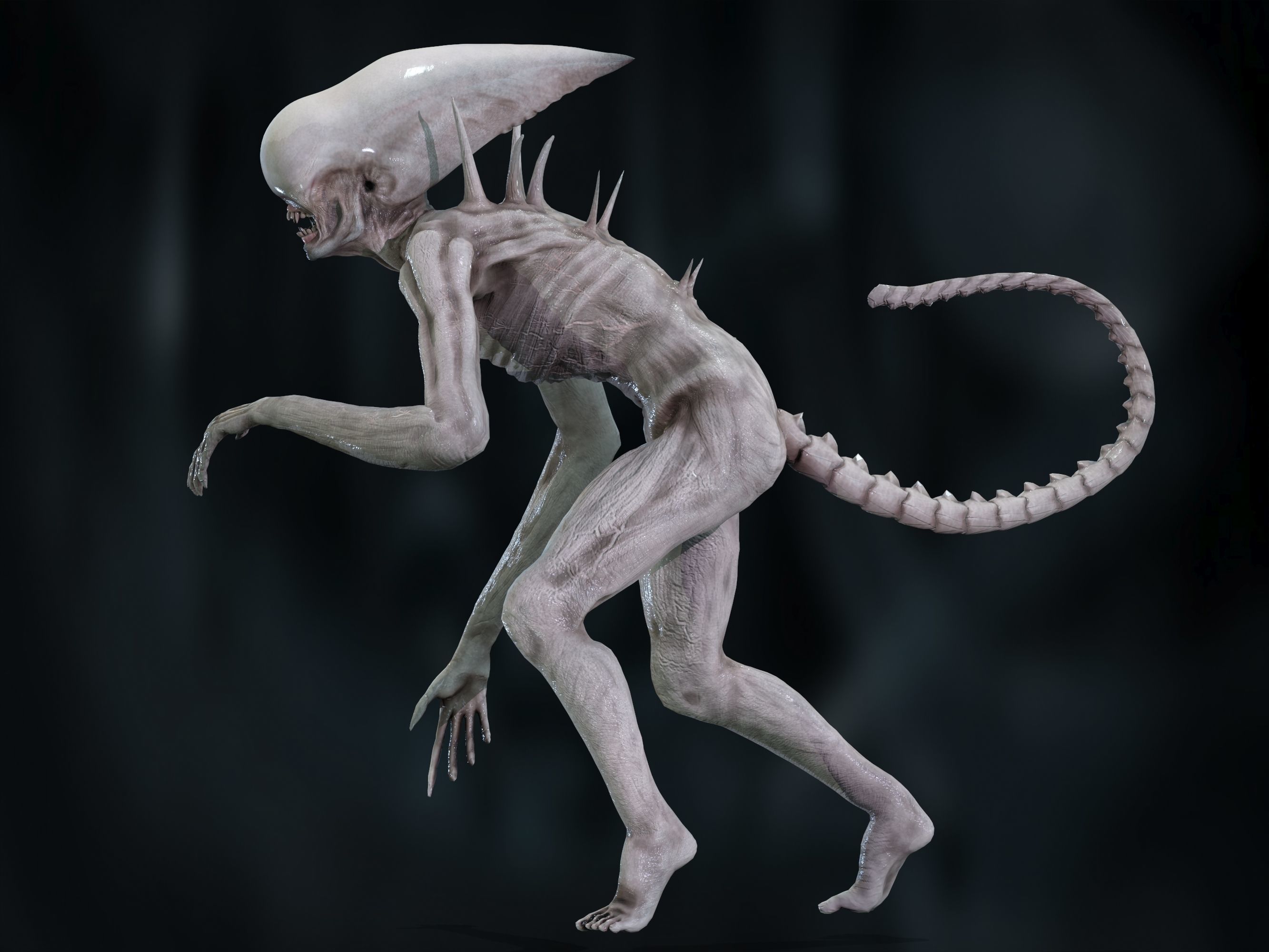 Neomorph Low-poly 3D model_22