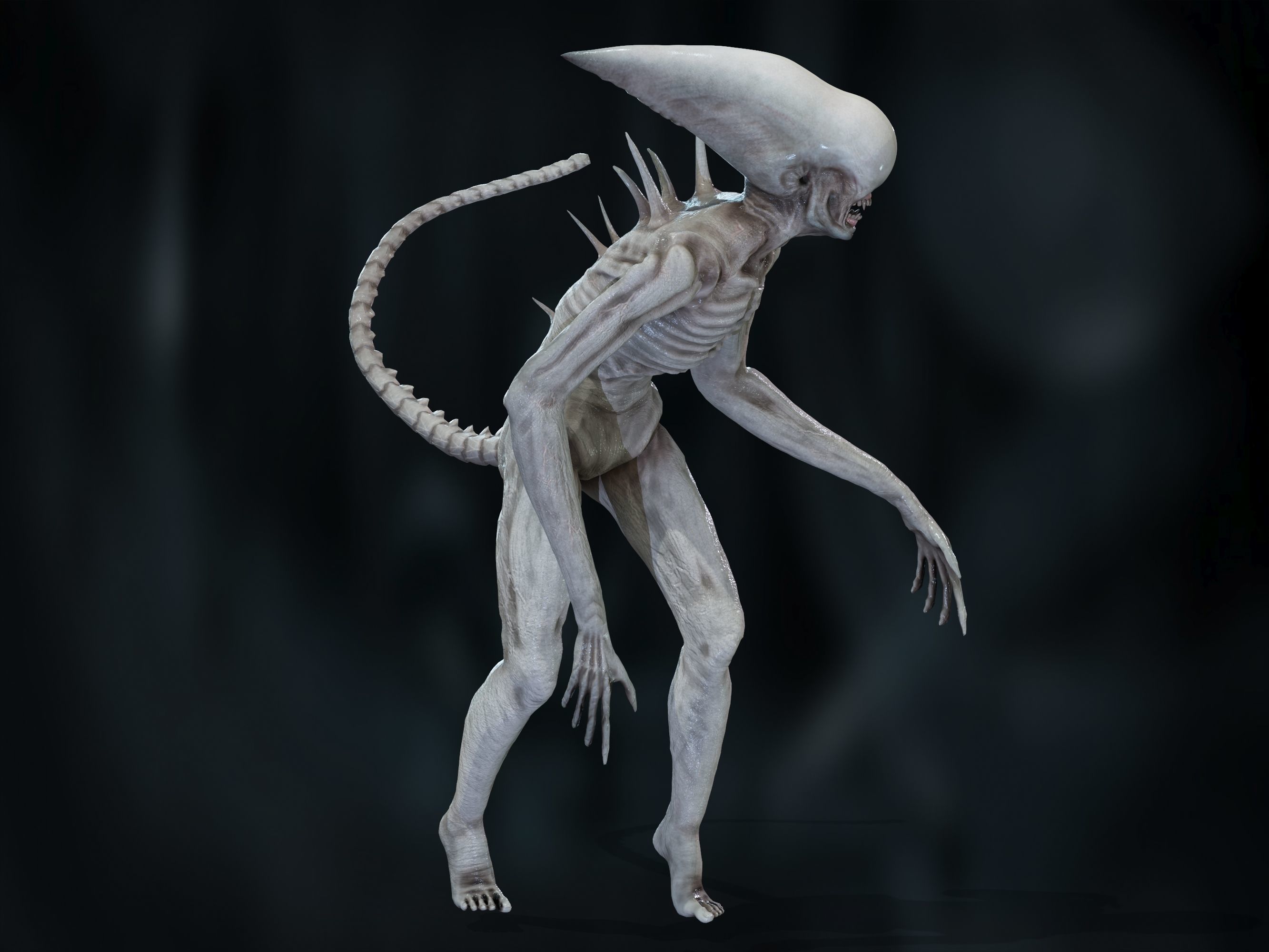 Neomorph Low-poly 3D model_15
