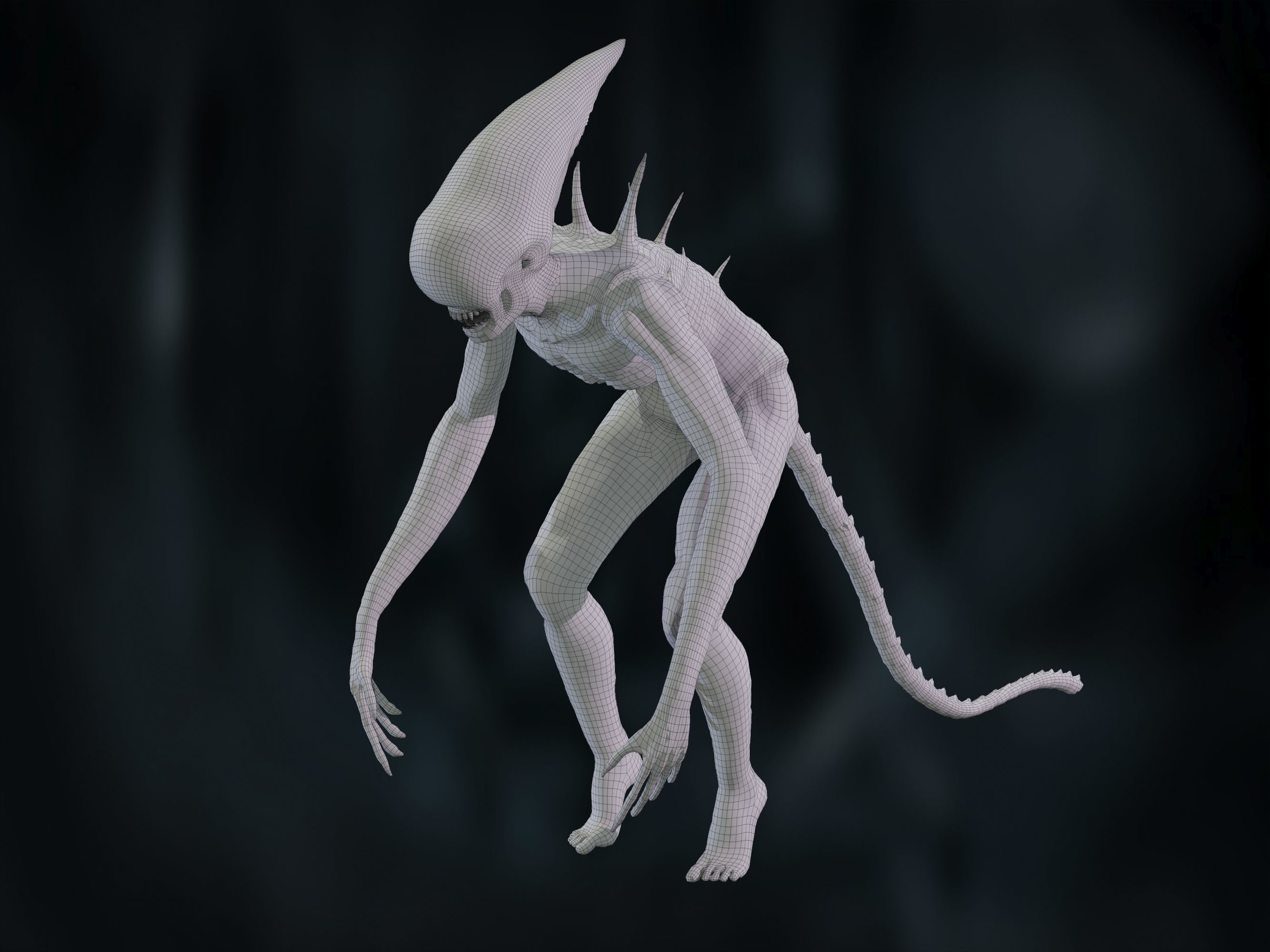 Neomorph Low-poly 3D model_27