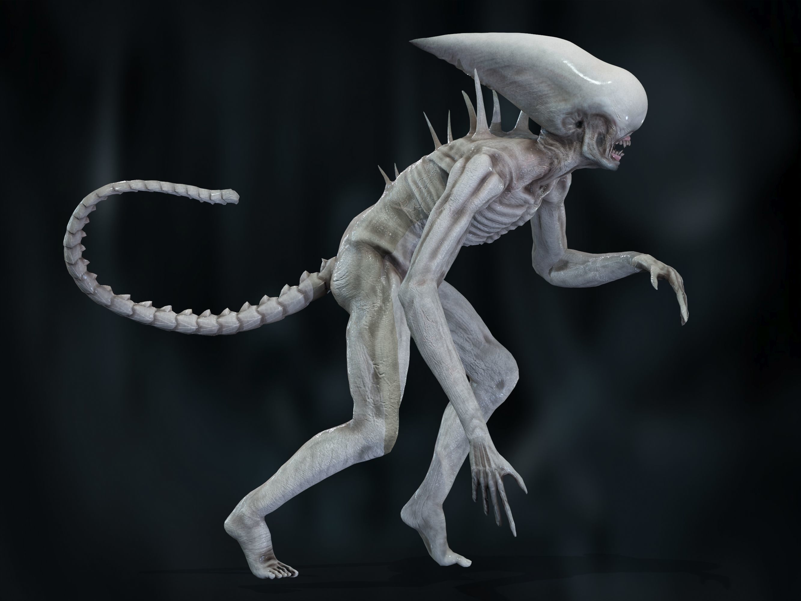 Neomorph Low-poly 3D model_26