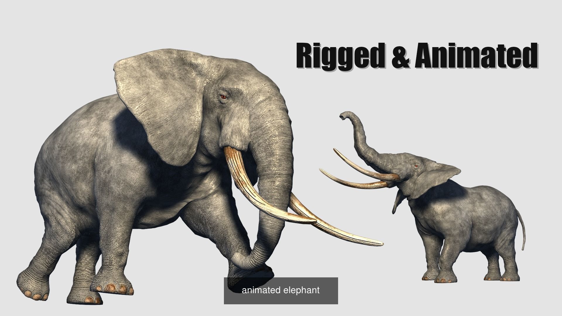 animal collection zoo animals pack _24