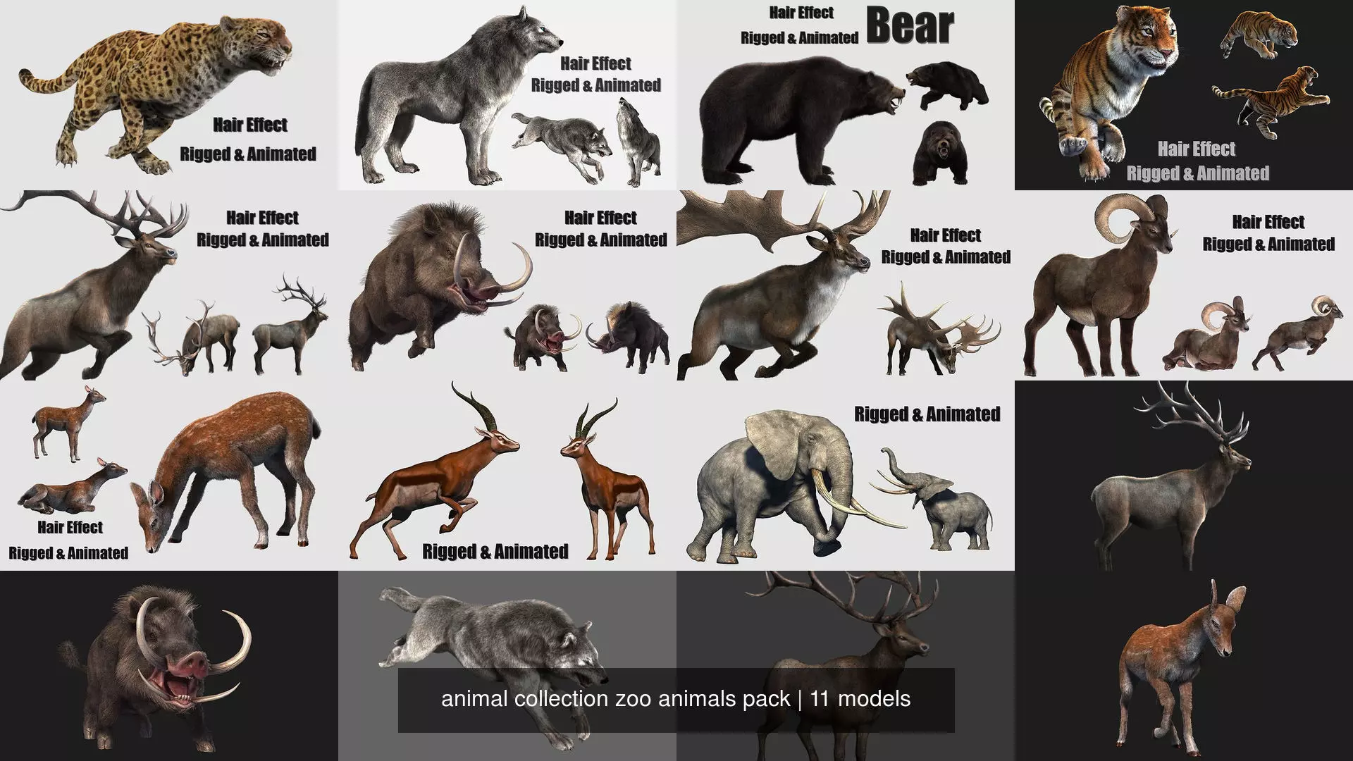 animal collection zoo animals pack _0