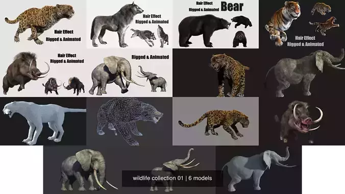 wildlife collection 01 