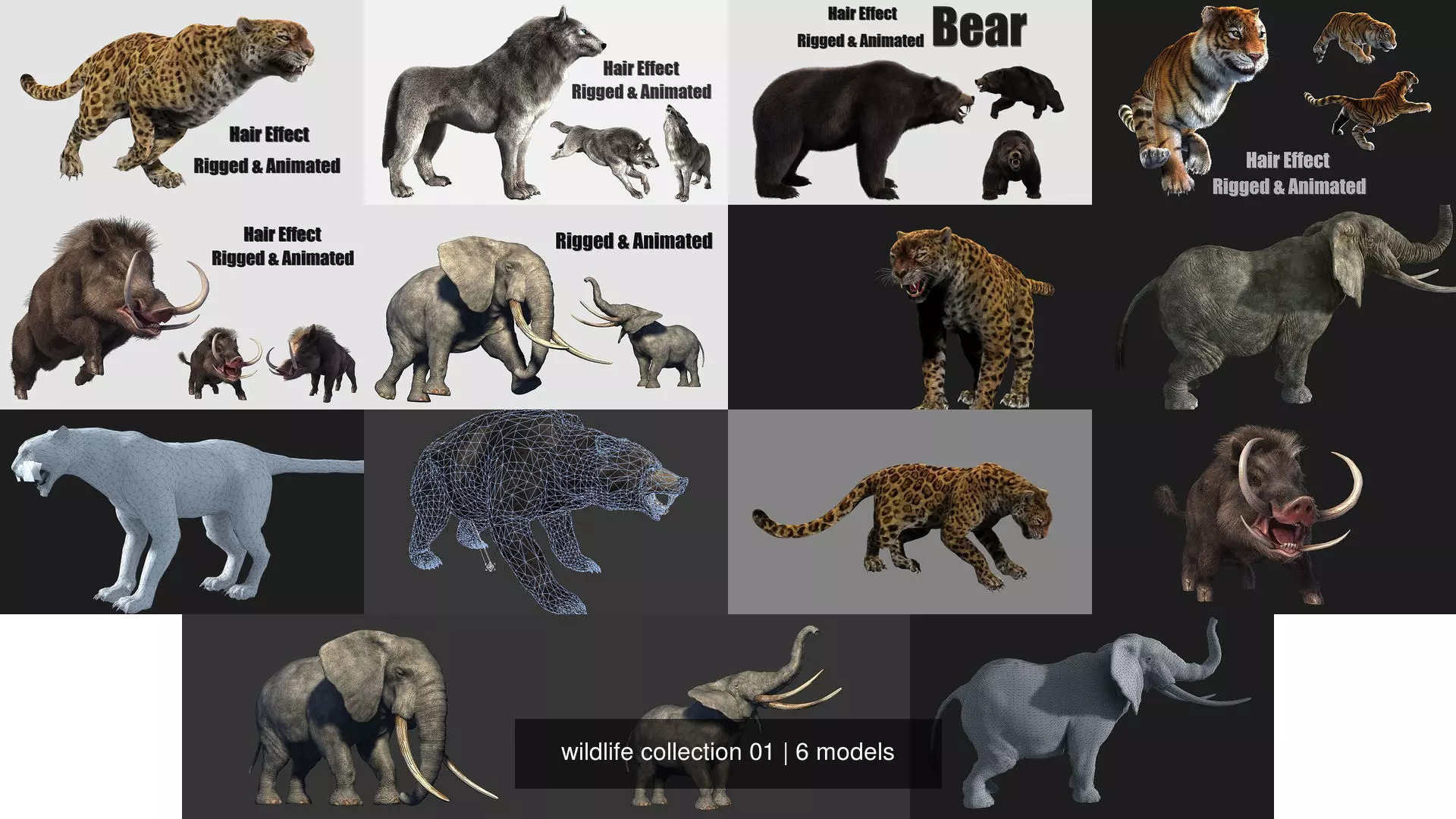 wildlife collection 01 _0