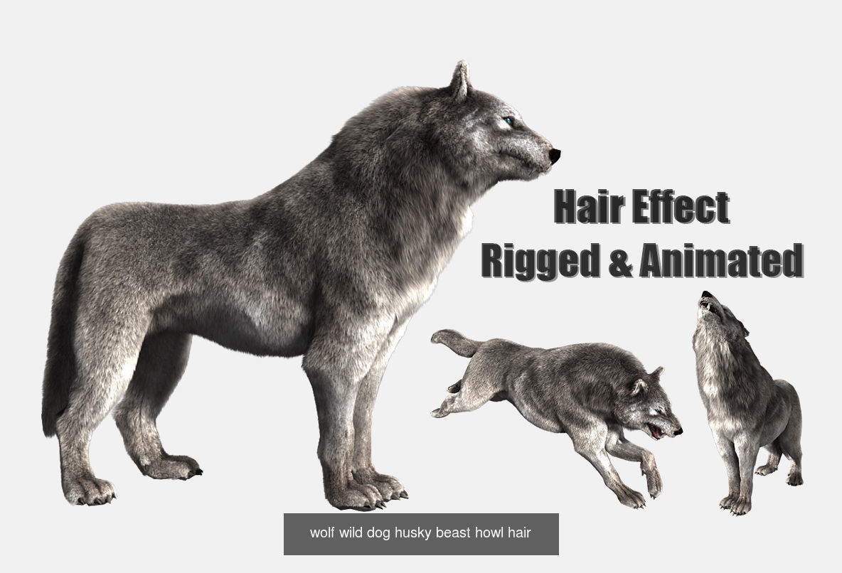 wildlife collection 01 _9