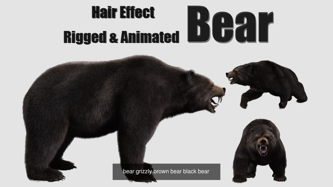 wildlife collection 01 _10