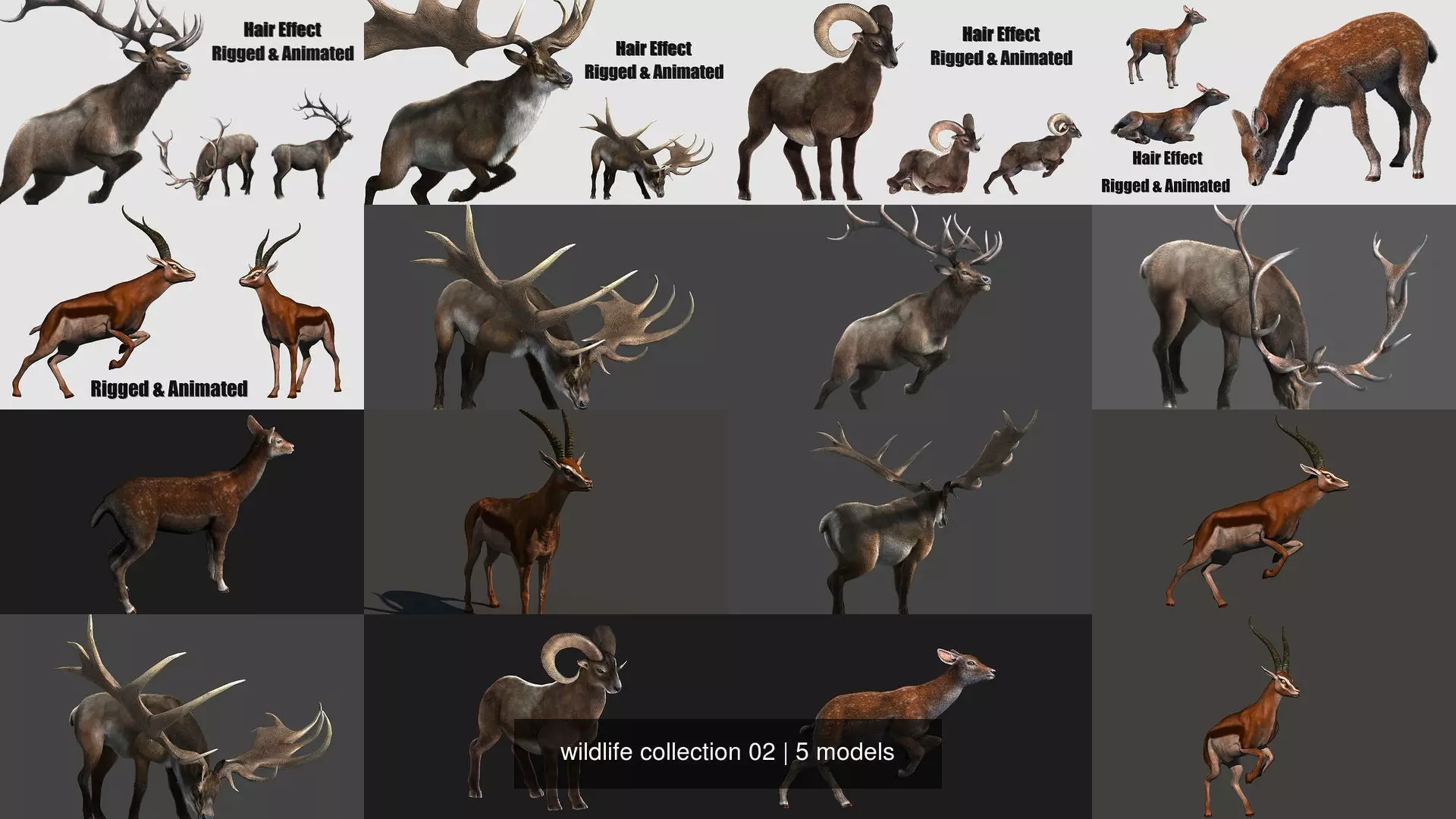 wildlife collection 02 _0