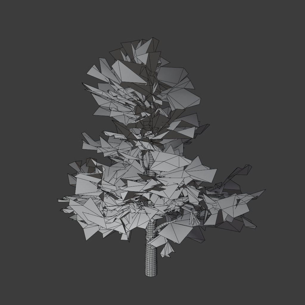 Pinyon Pine 1 Low-poly 3D model_8