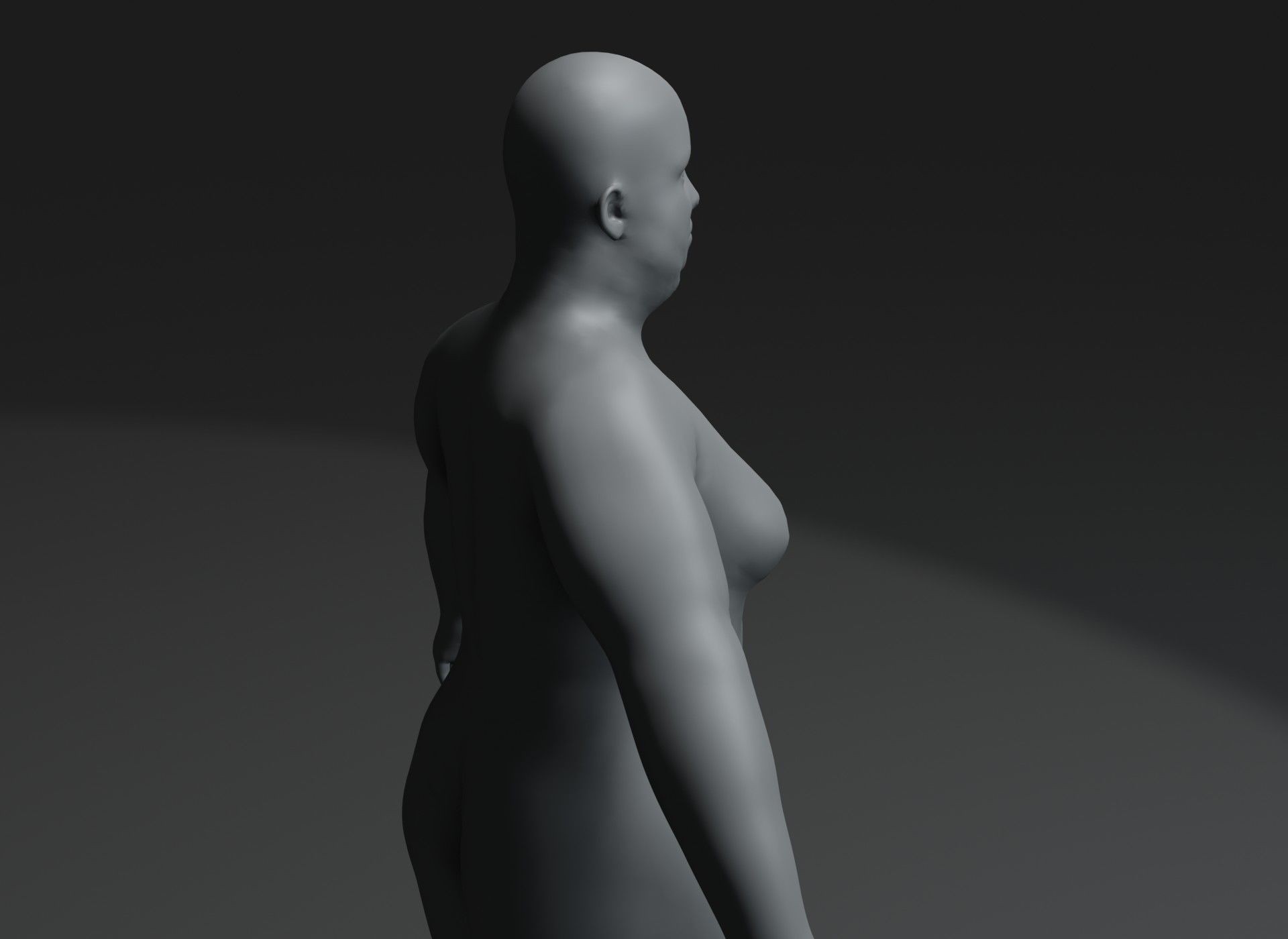 Fat Human Body Base Mesh 3D Model Family Pack 20k Polygons 3D Model Collection_37