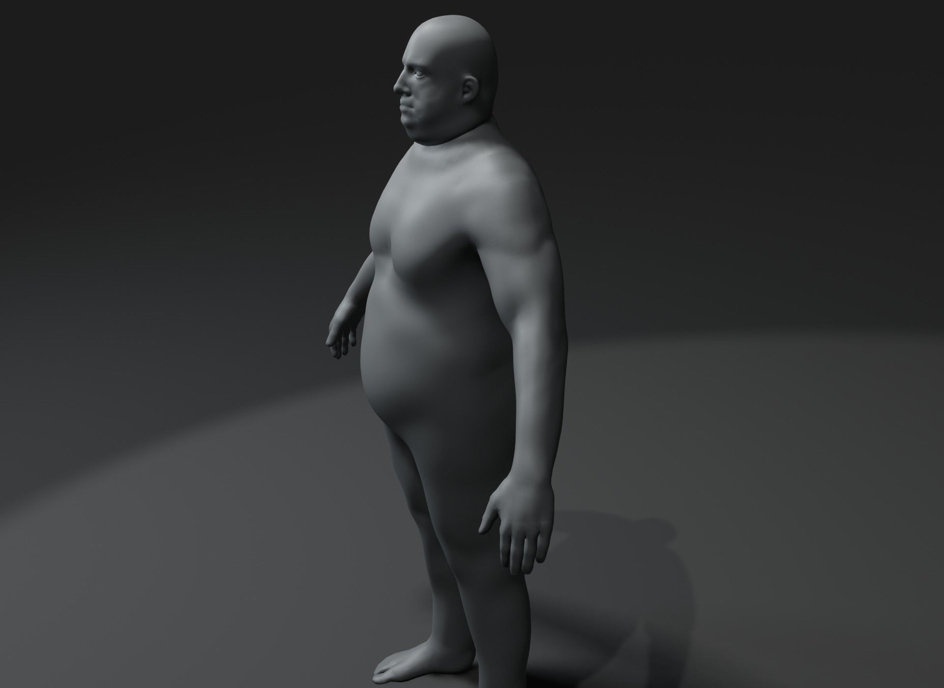 Fat Human Body Base Mesh 3D Model Family Pack 20k Polygons 3D Model Collection_50