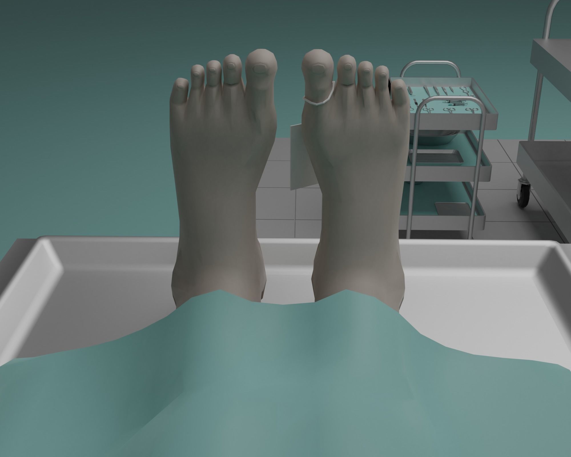 Morgue brain on tray Low-poly 3D model_15