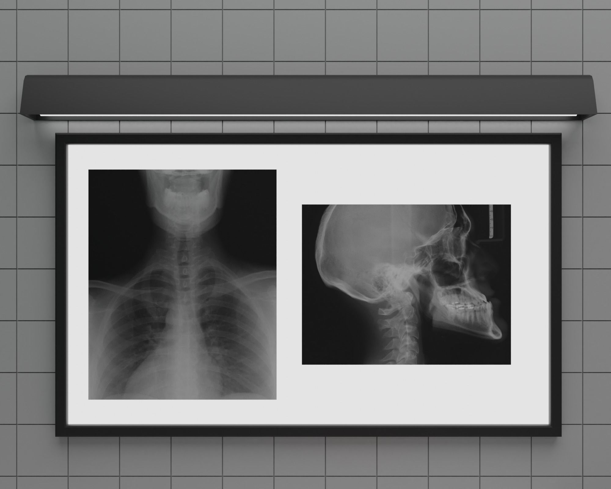 Morgue brain on tray Low-poly 3D model_5