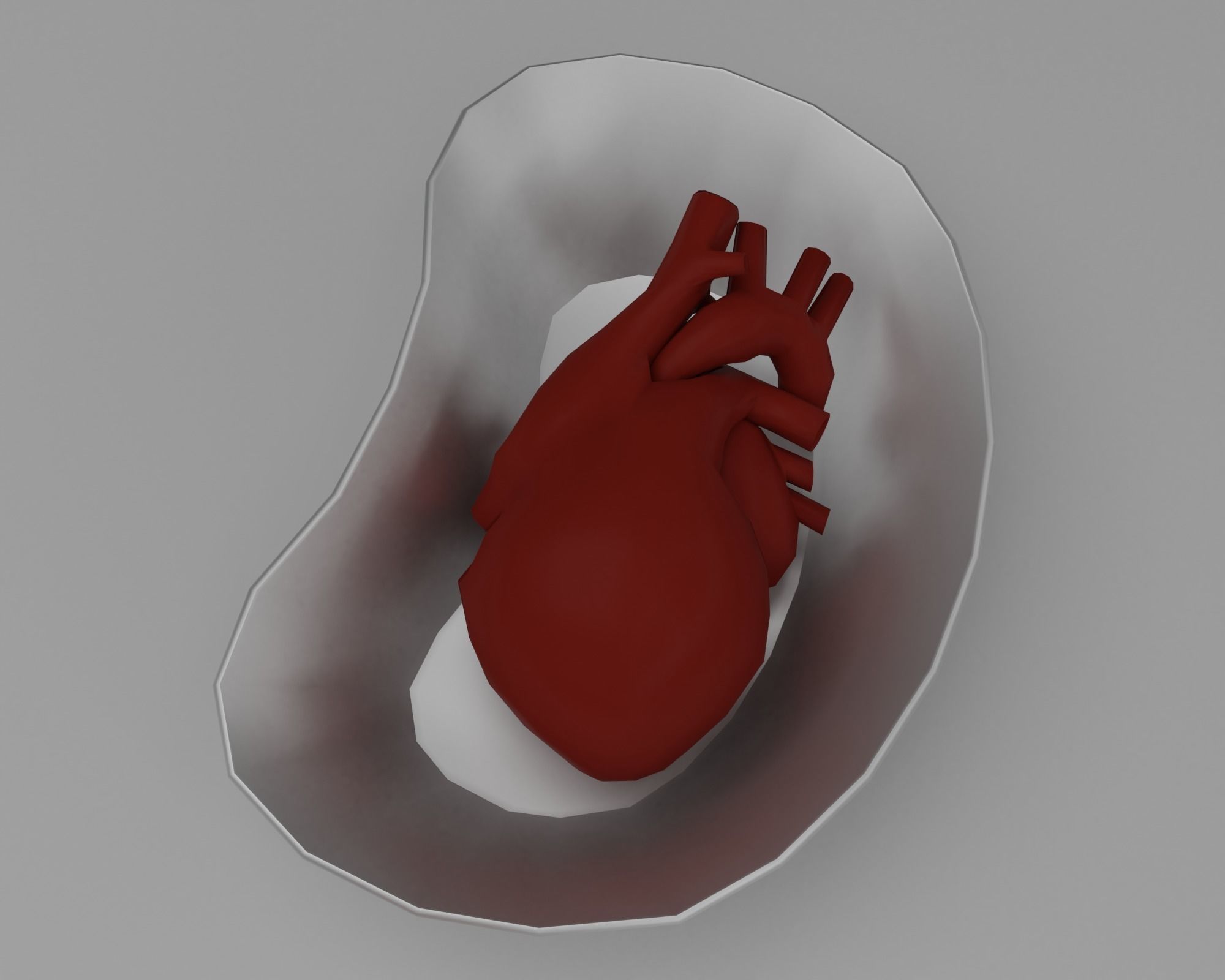 Morgue brain on tray Low-poly 3D model_4