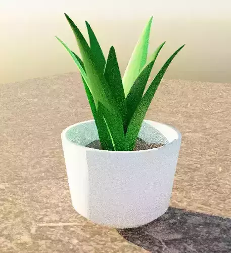 plant with pot