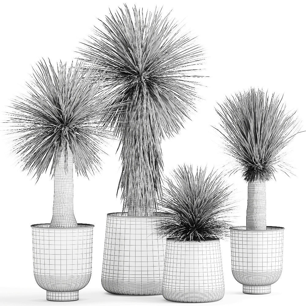 Yucca rostrata in a flowerpot for the interior 1014 3D model_9