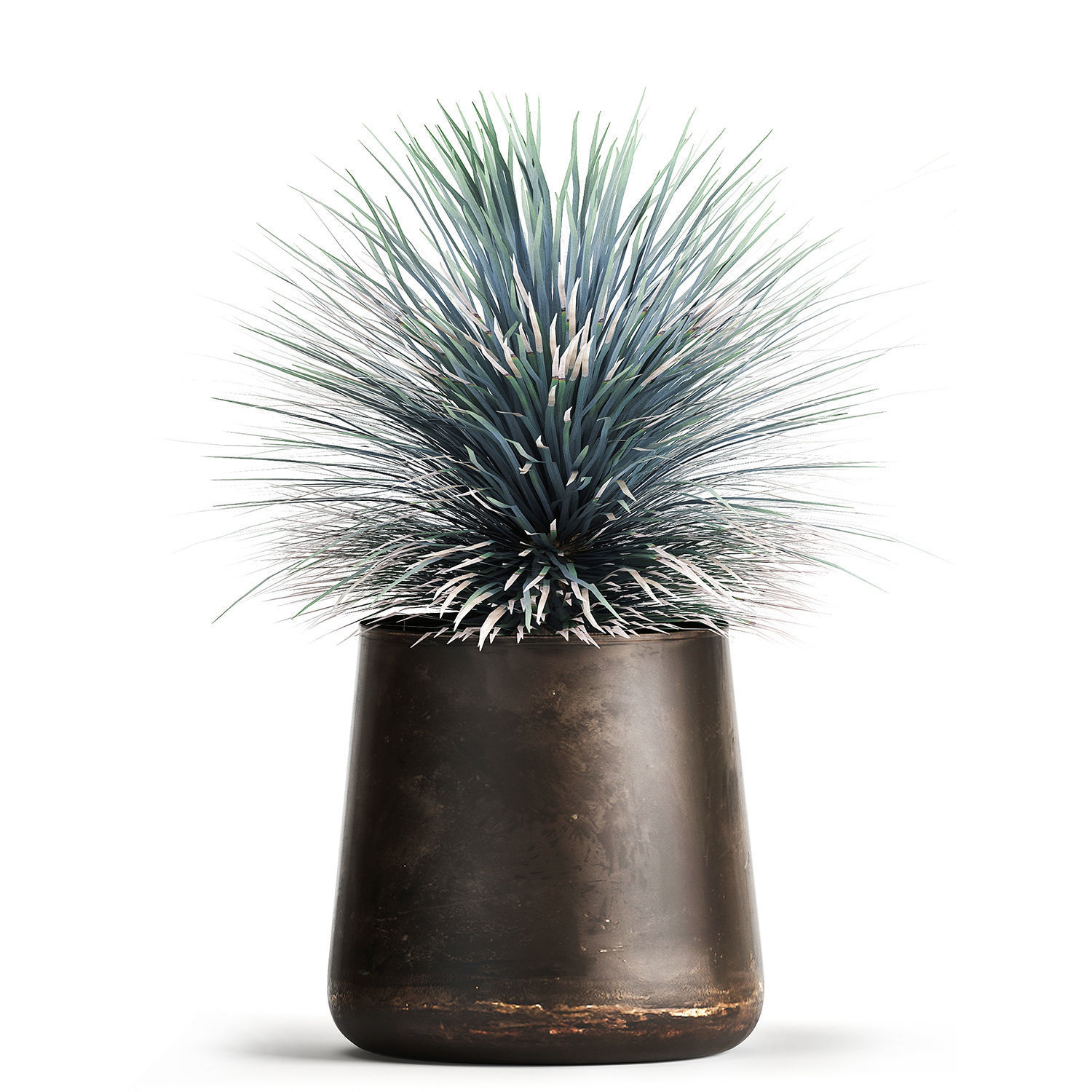 Yucca rostrata in a flowerpot for the interior 1014 3D model_7