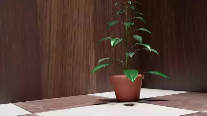 Plant Vase