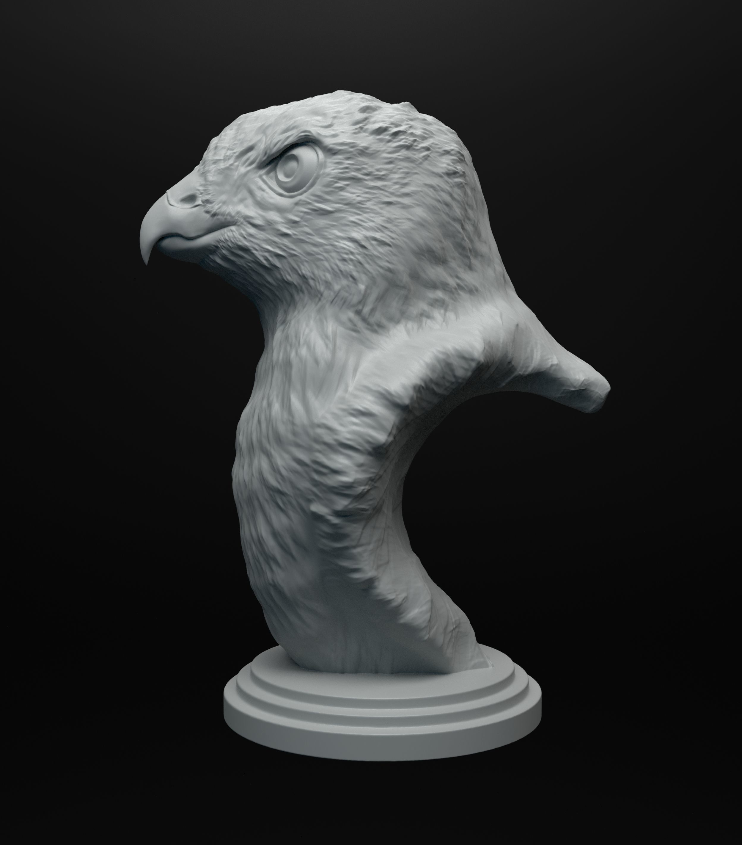 Hawk bust intended for 3D printing 3D print model_1