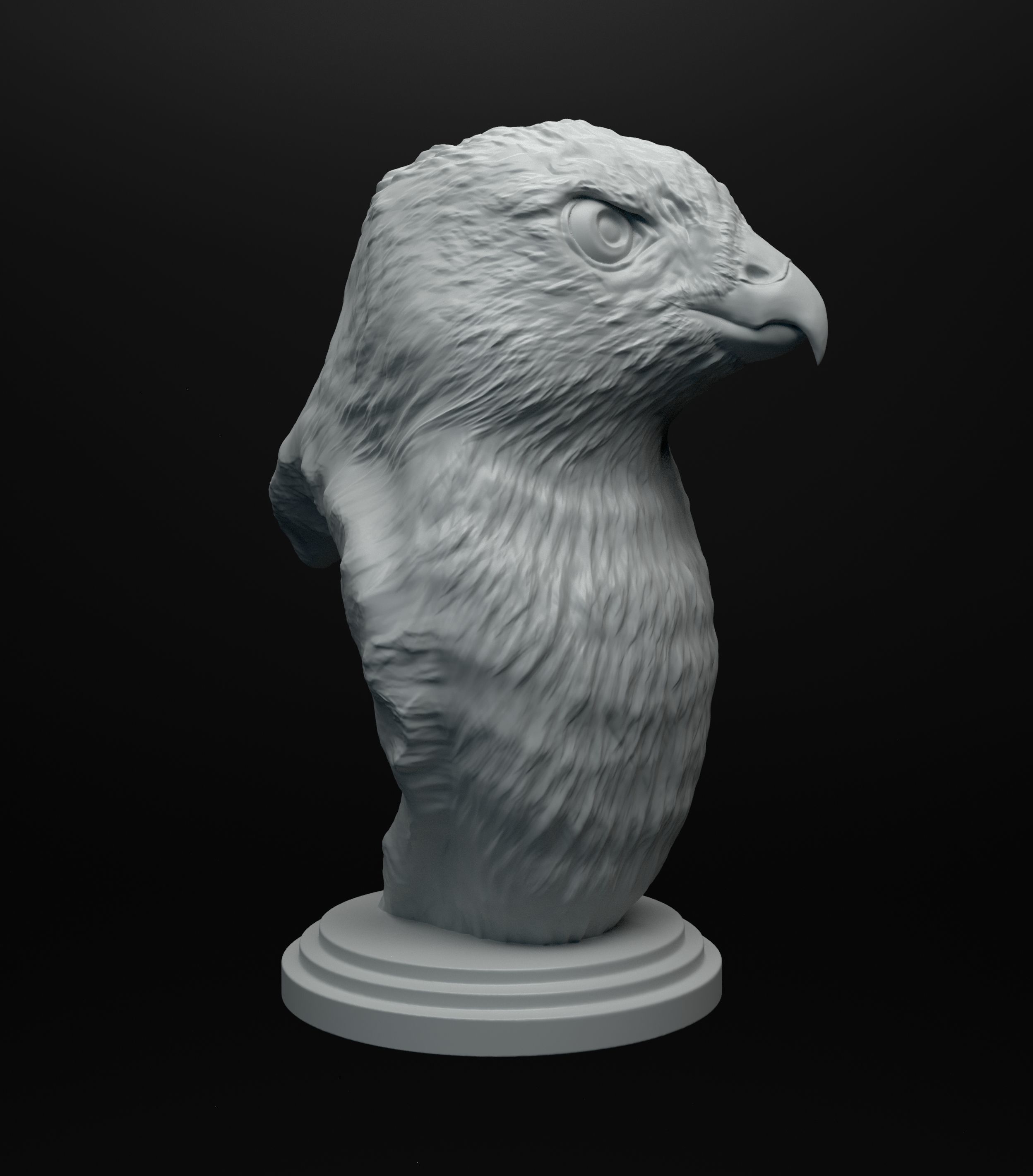 Hawk bust intended for 3D printing 3D print model_7