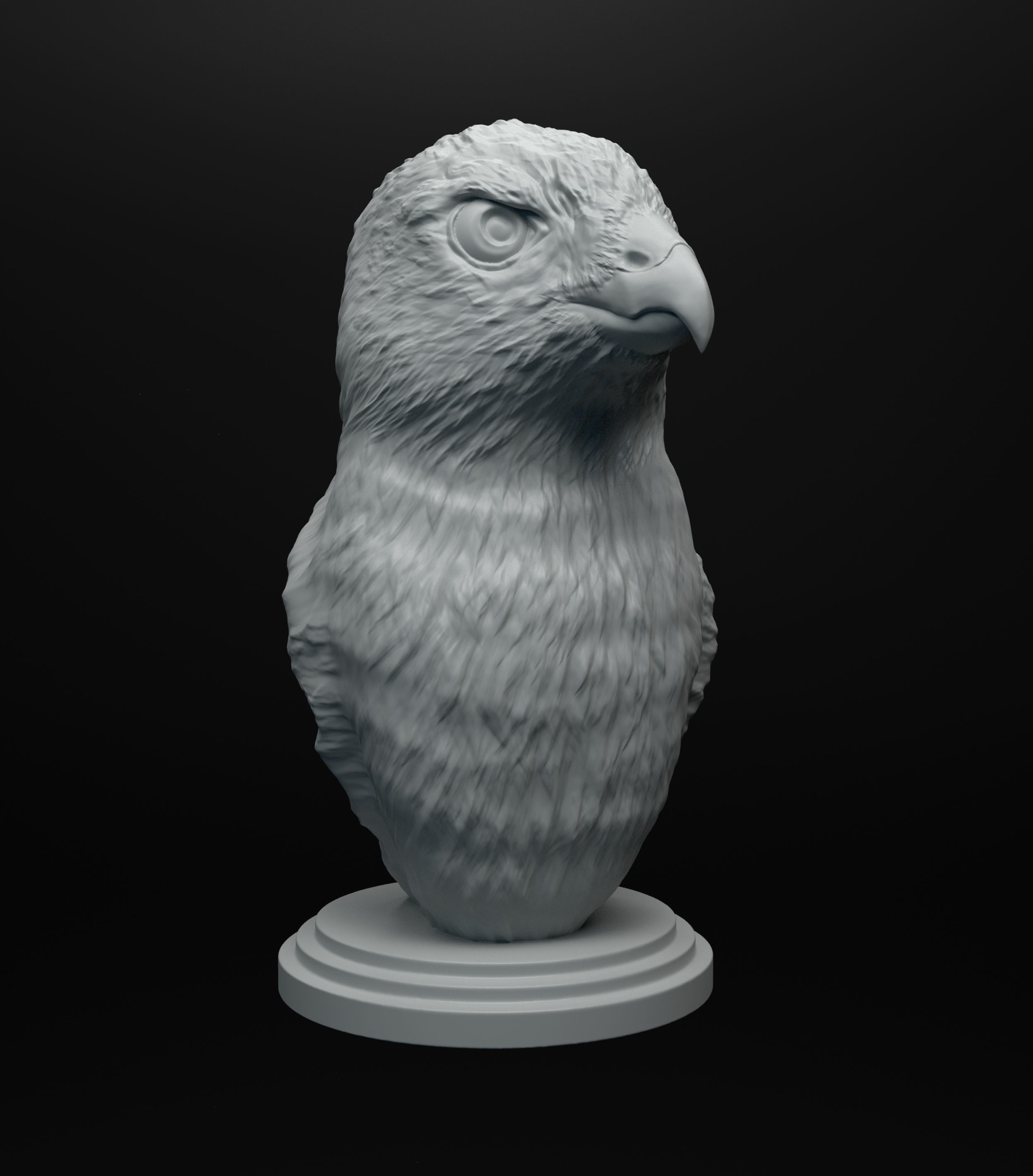 Hawk bust intended for 3D printing 3D print model_8