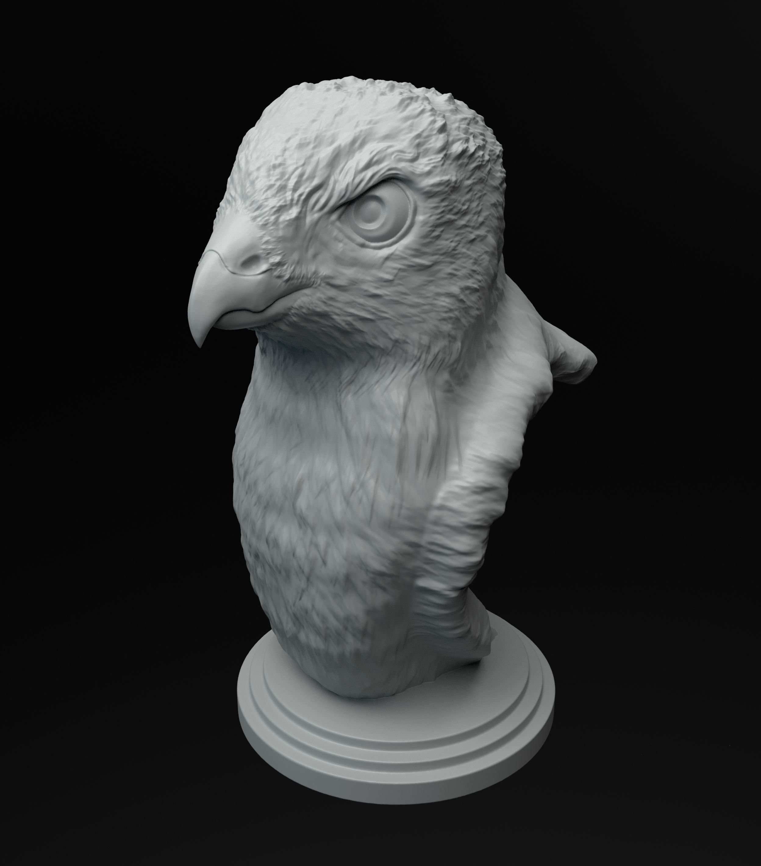 Hawk bust intended for 3D printing 3D print model_2
