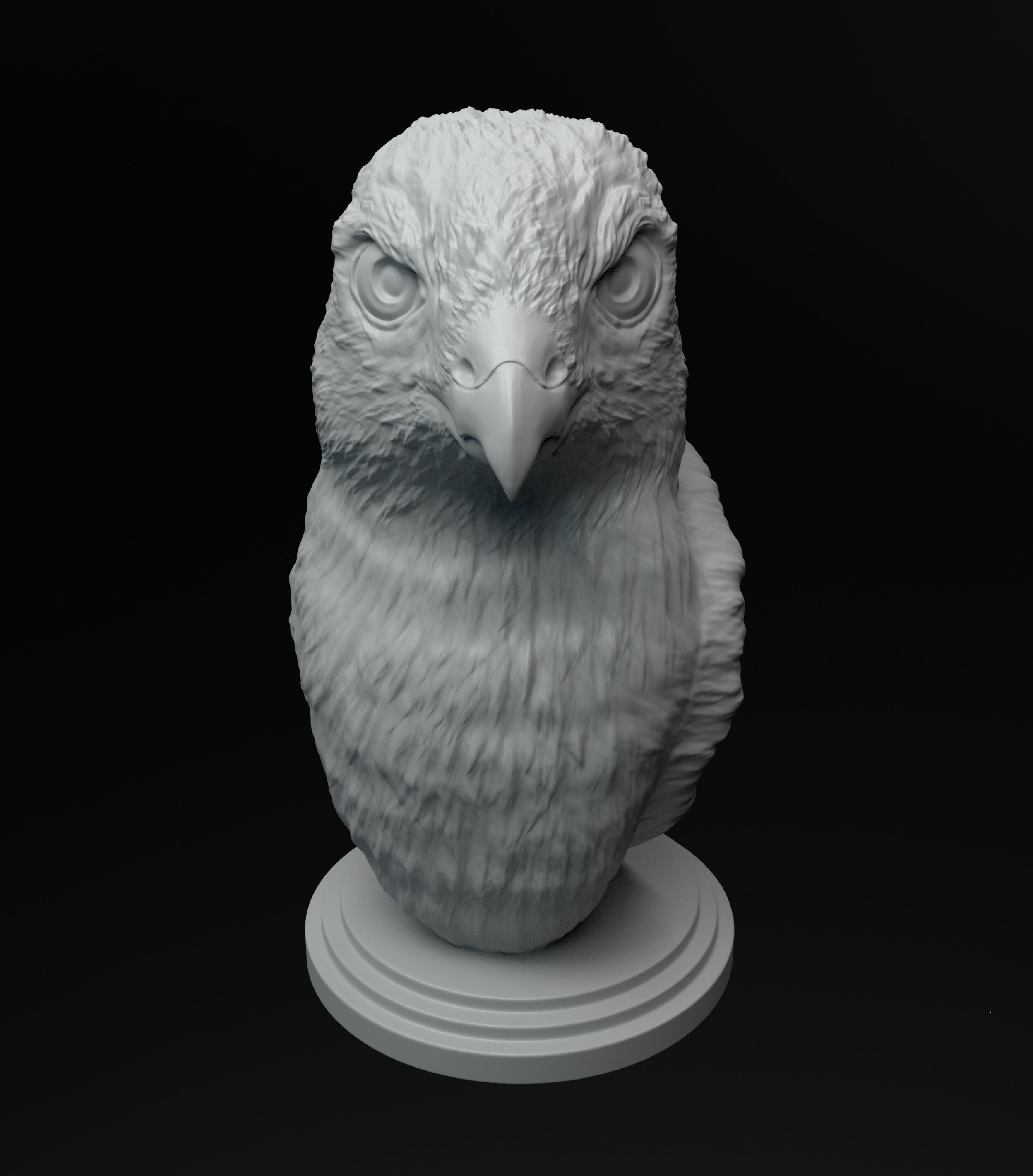 Hawk bust intended for 3D printing 3D print model_9