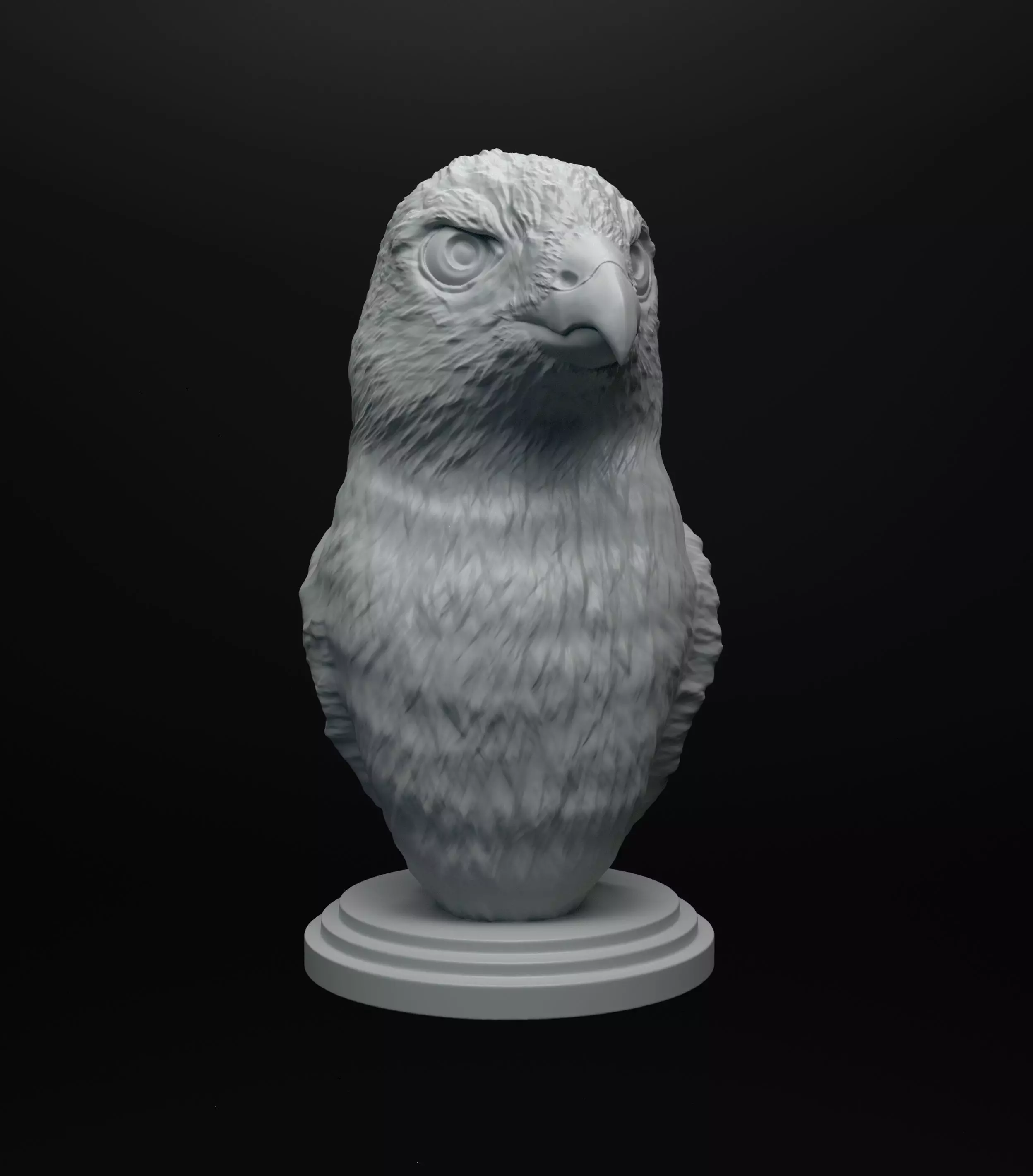 Hawk bust intended for 3D printing 3D print model_0