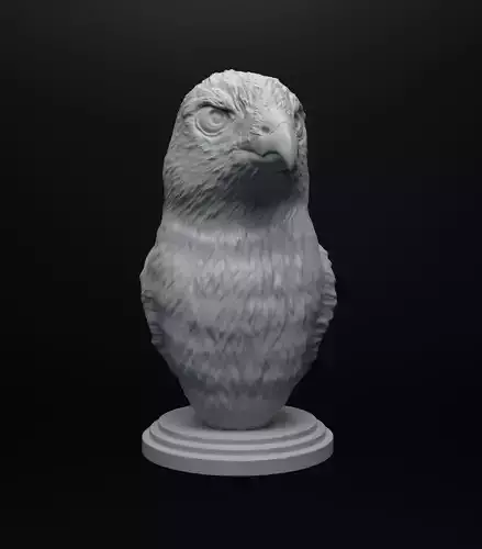 Hawk bust intended for 3D printing