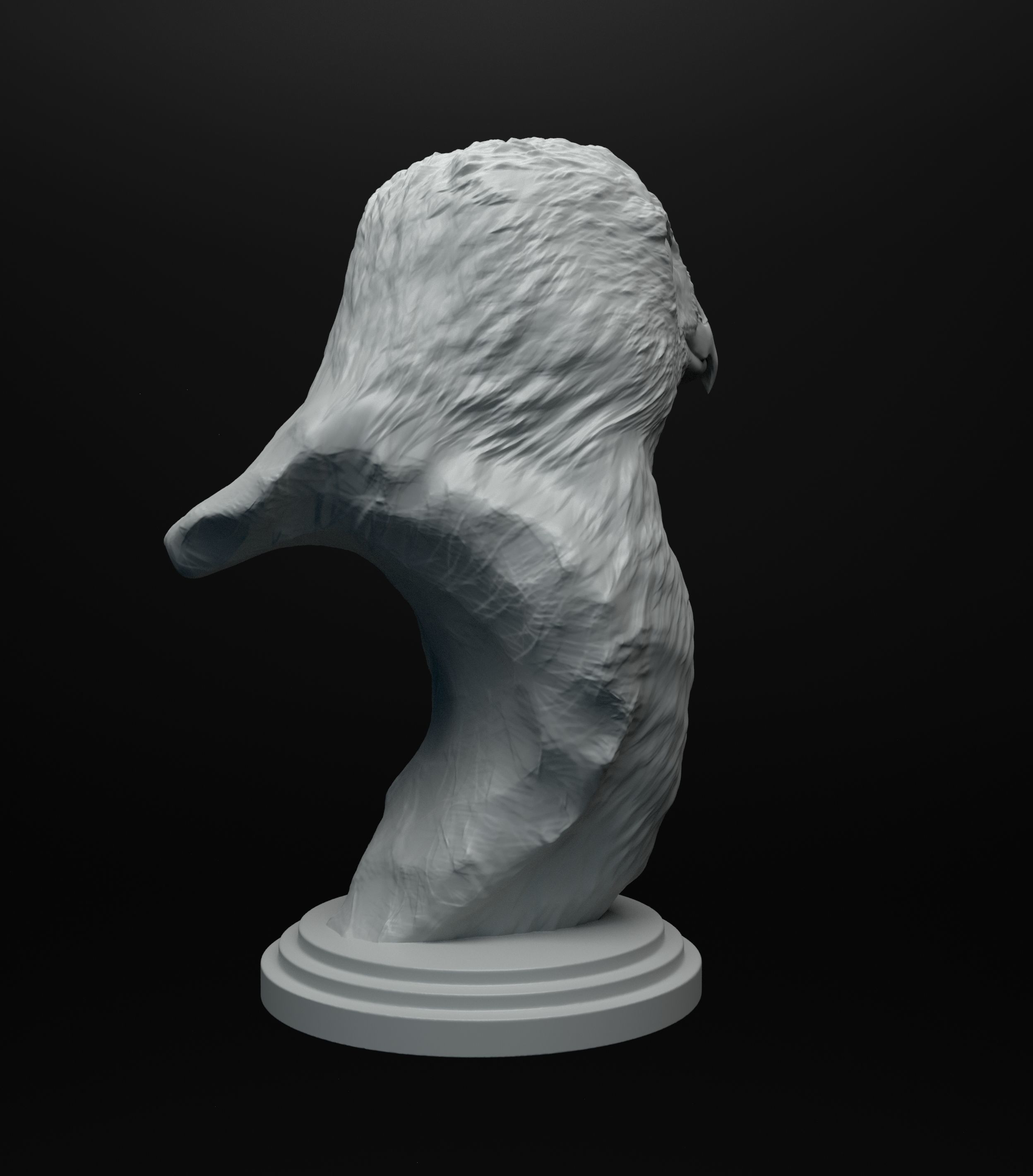 Hawk bust intended for 3D printing 3D print model_6