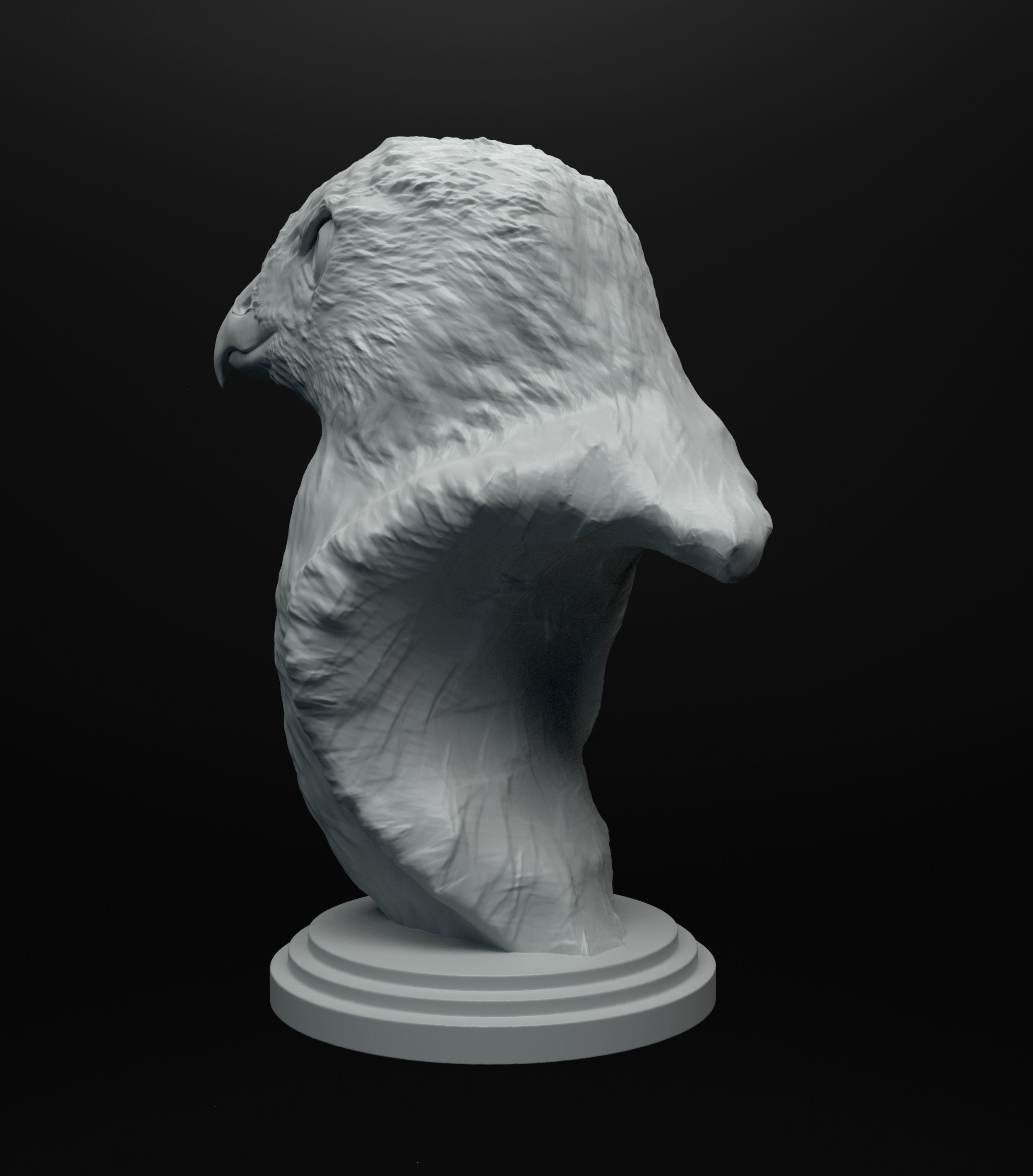 Hawk bust intended for 3D printing 3D print model_5